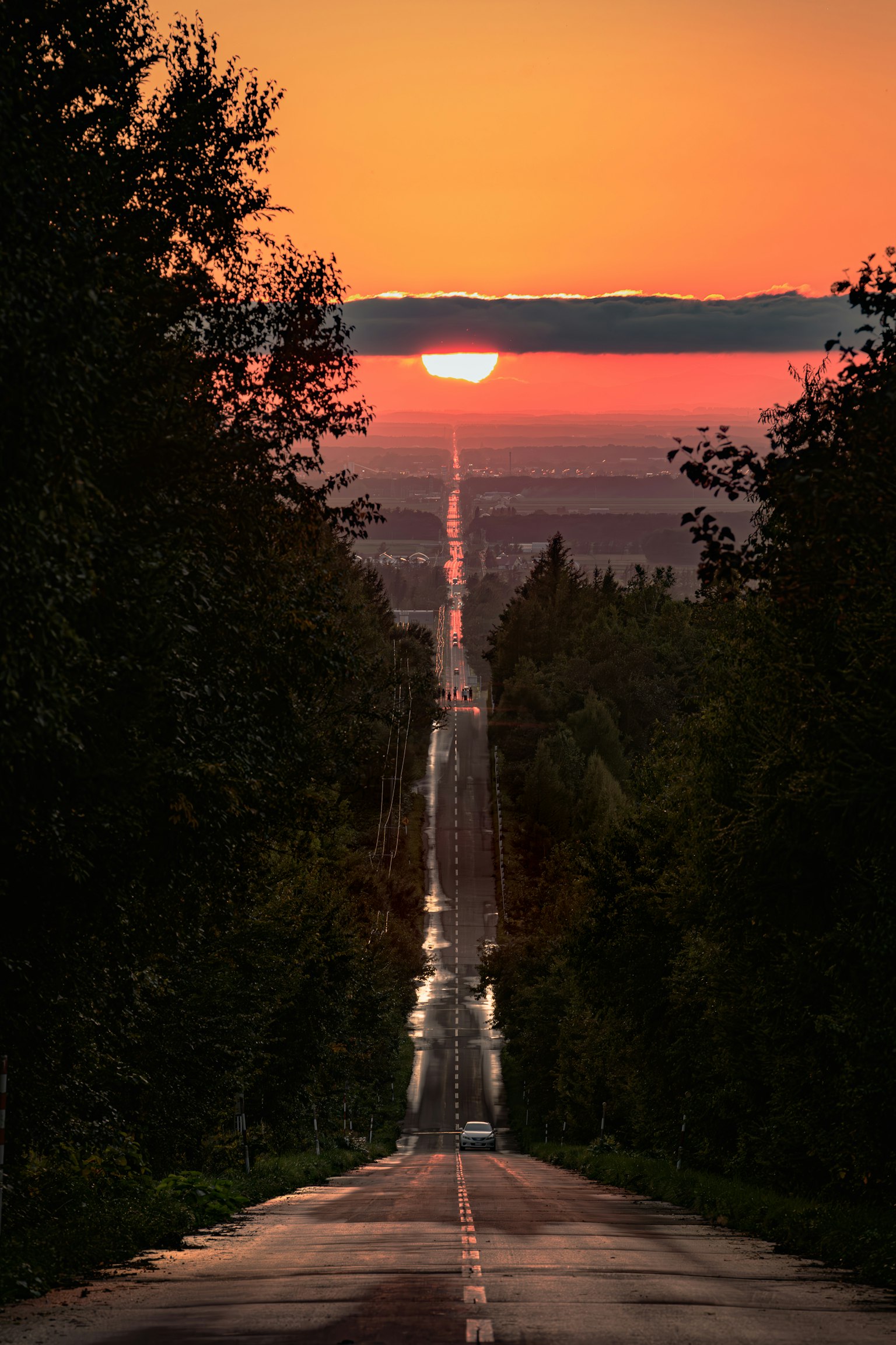 Vista escénica de una larga carretera que lleva a un atardecer rodeado de árboles verdes