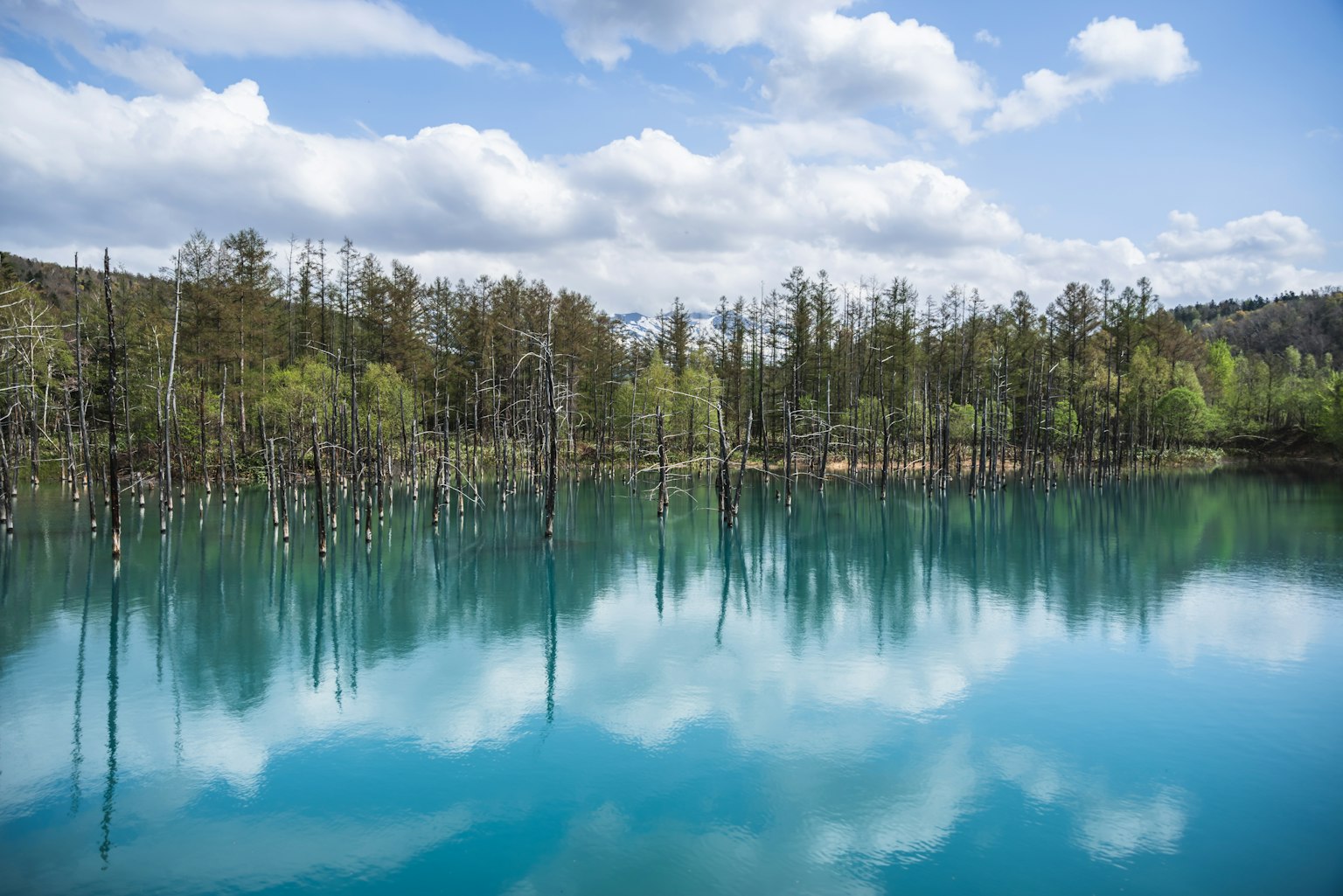 Vue panoramique d'un lac bleu avec des reflets d'arbres morts et un ciel nuageux