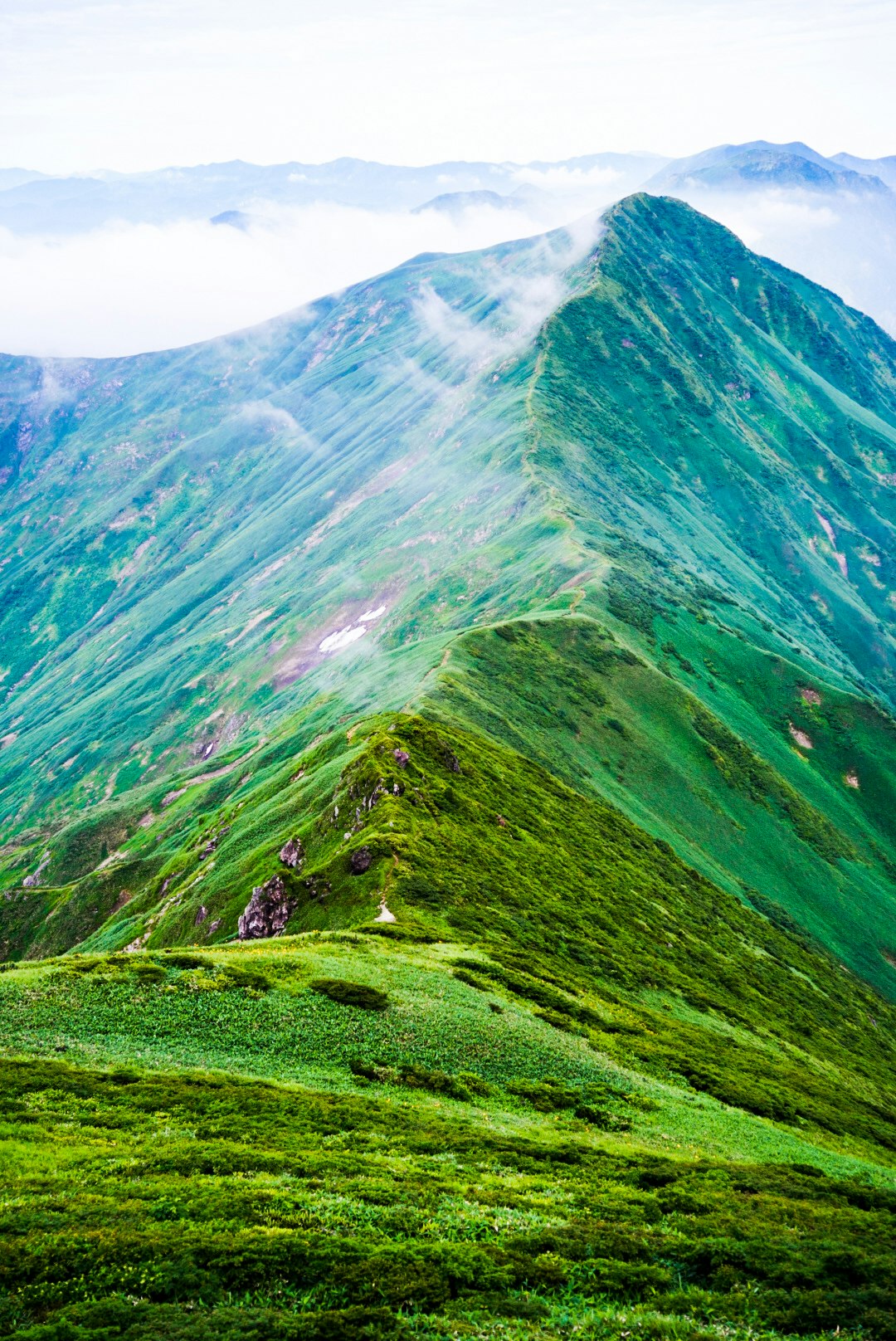 霧に包まれた山並みと緑の稜線の絶景