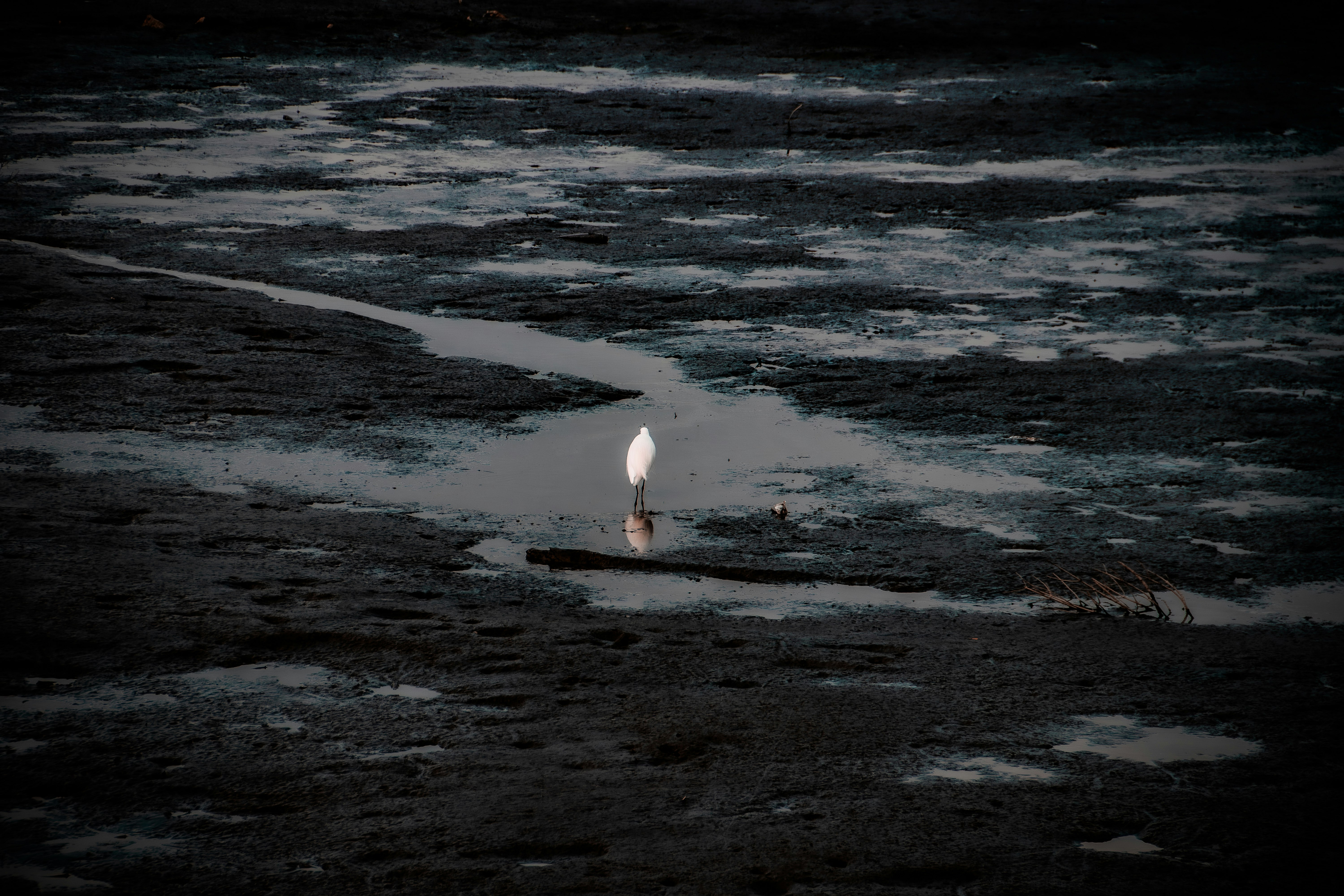 una persona solitaria in piedi sulla riva scura dove le onde incontrano la sabbia