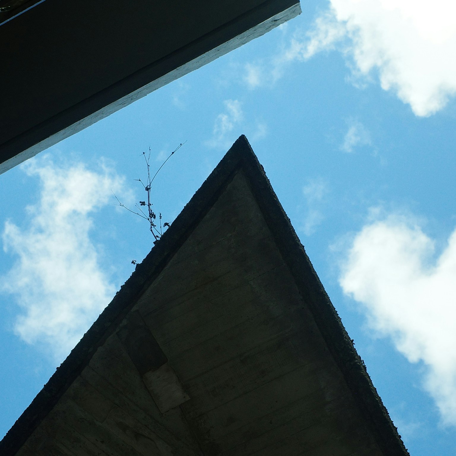 Vista de una esquina de un edificio contra un cielo azul con nubes Una planta creciendo sobre el concreto
