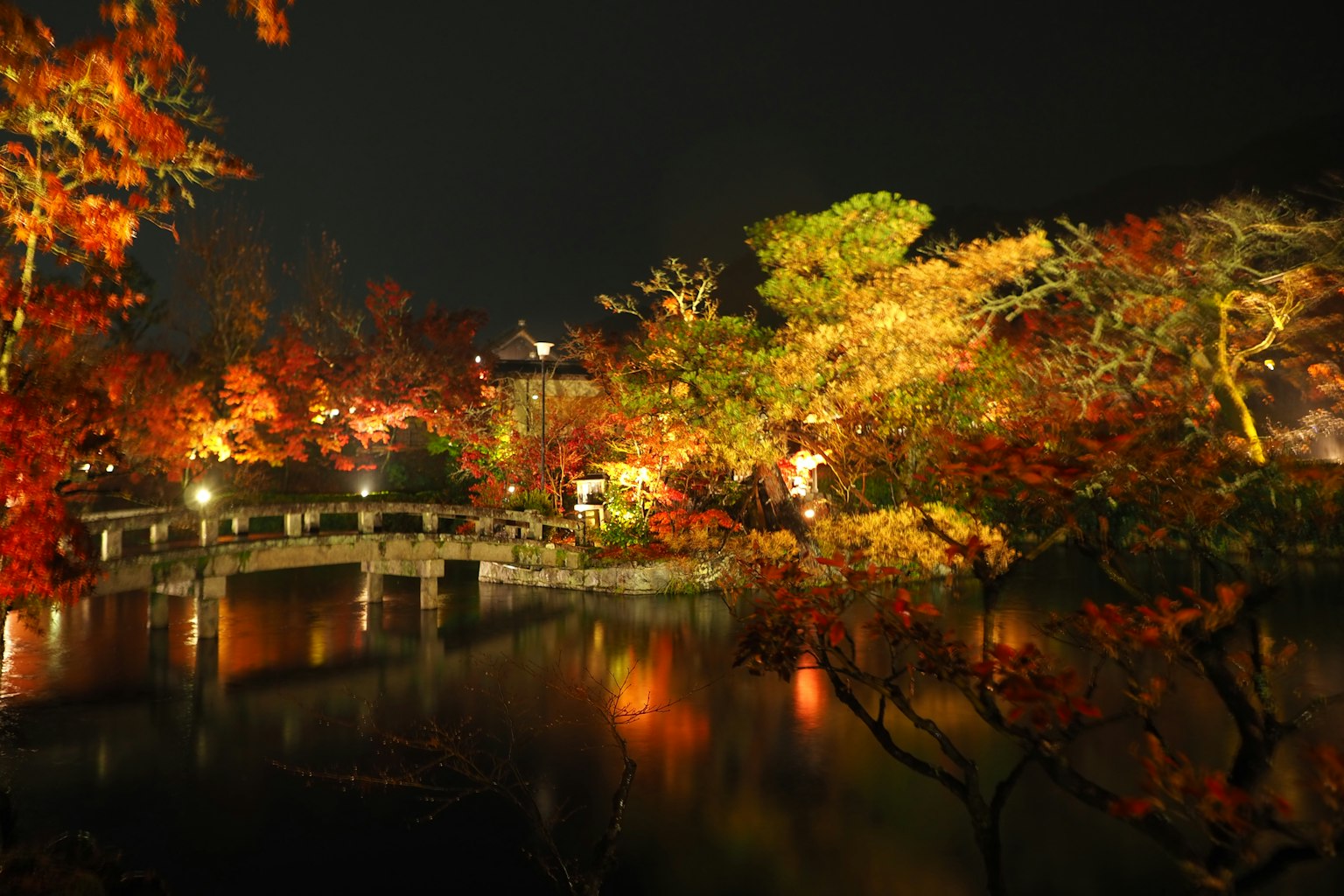 Bellissimo paesaggio del parco con fogliame autunnale di notte con un ponte e uno stagno riflettente