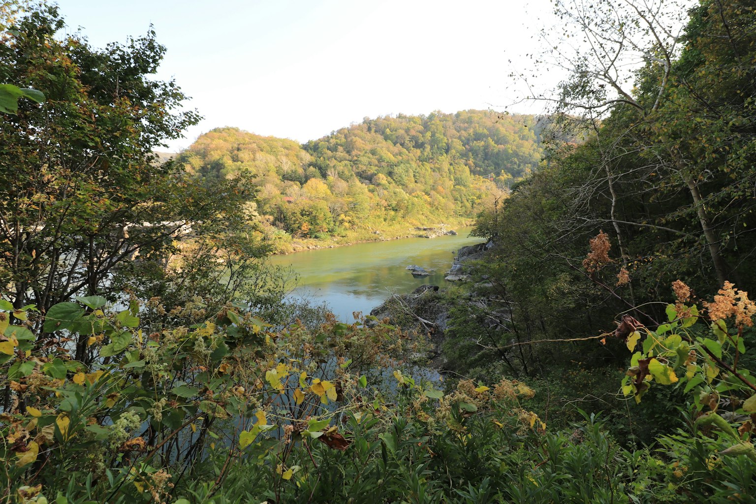 Üppige Vegetation und ruhige Wasseroberfläche in einer malerischen Landschaft