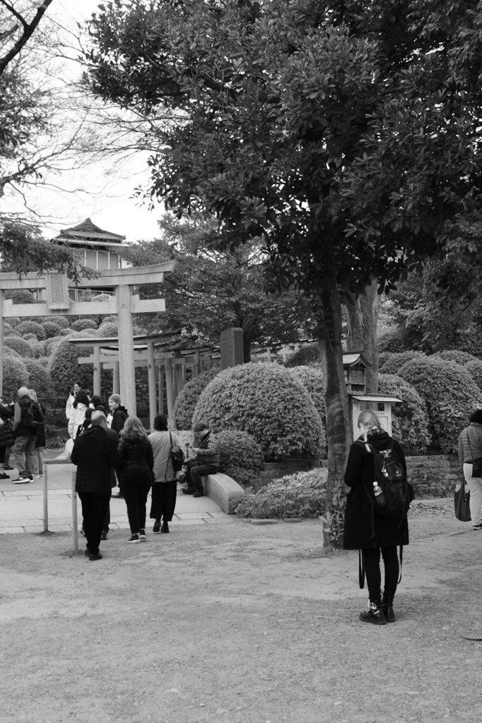 Foto in bianco e nero di un parco con persone che camminano