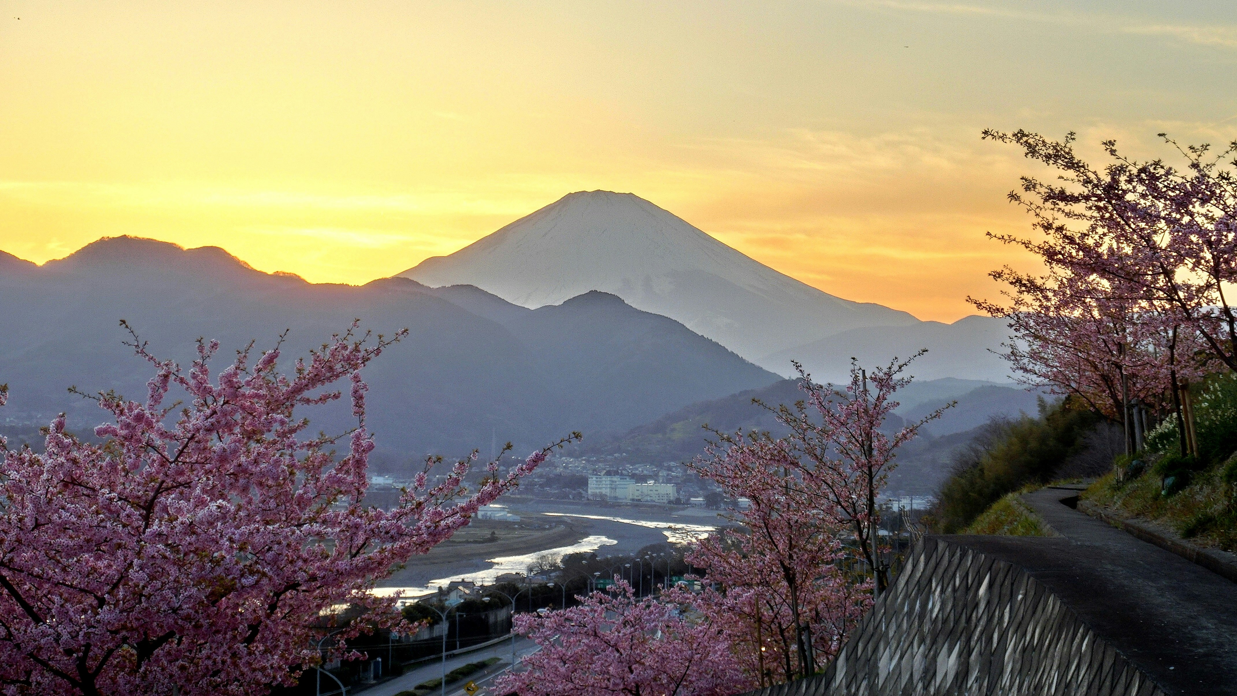 Cherry blossoms and mountain range at sunset