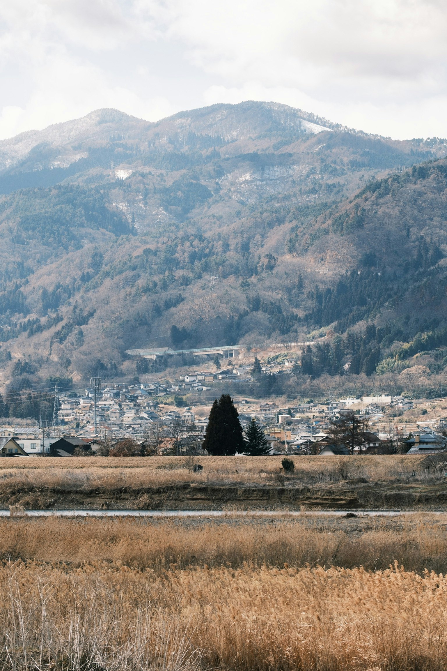 被山脈環繞的寧靜風景和乾燥的草原