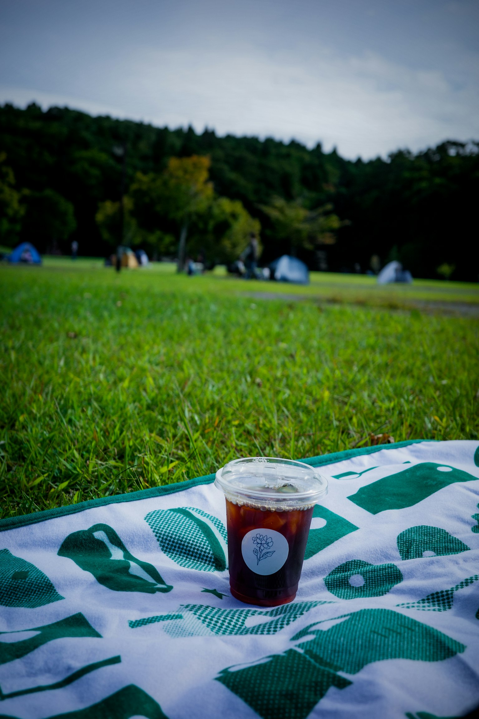 Tazza di caffè freddo su una coperta da picnic in un campo erboso