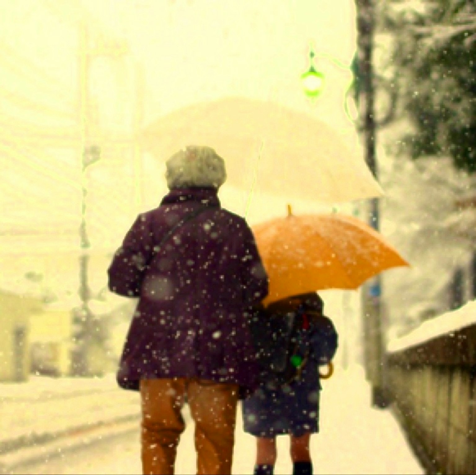 Nonno e bambino che camminano sotto gli ombrelli nella neve