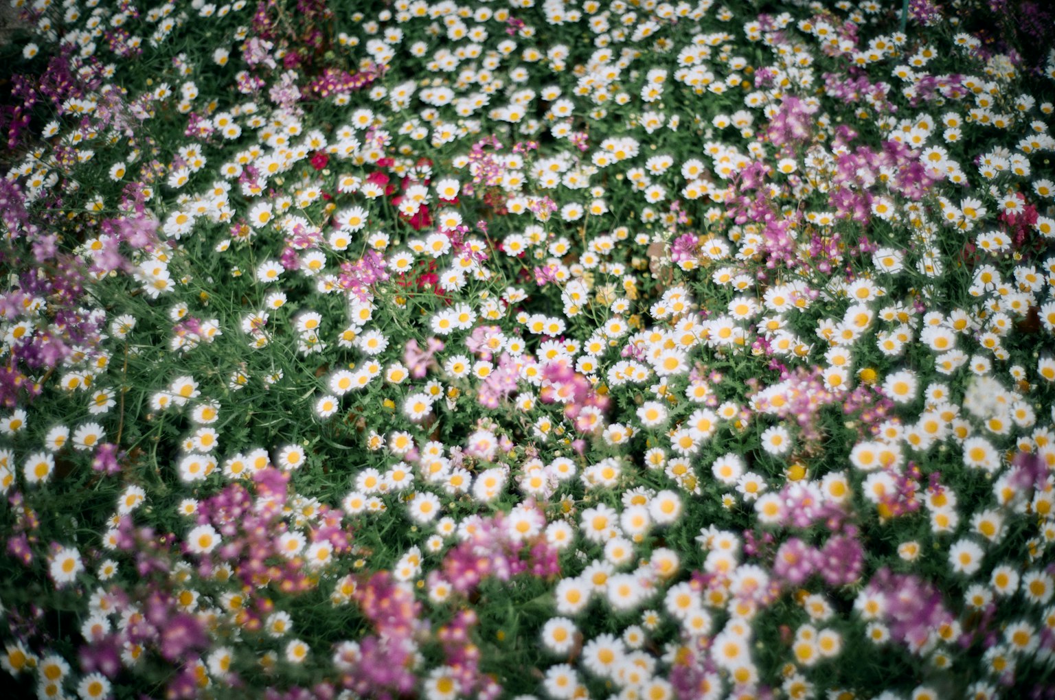 photo-OBHKn8oJKLMof4pHrqSN-image