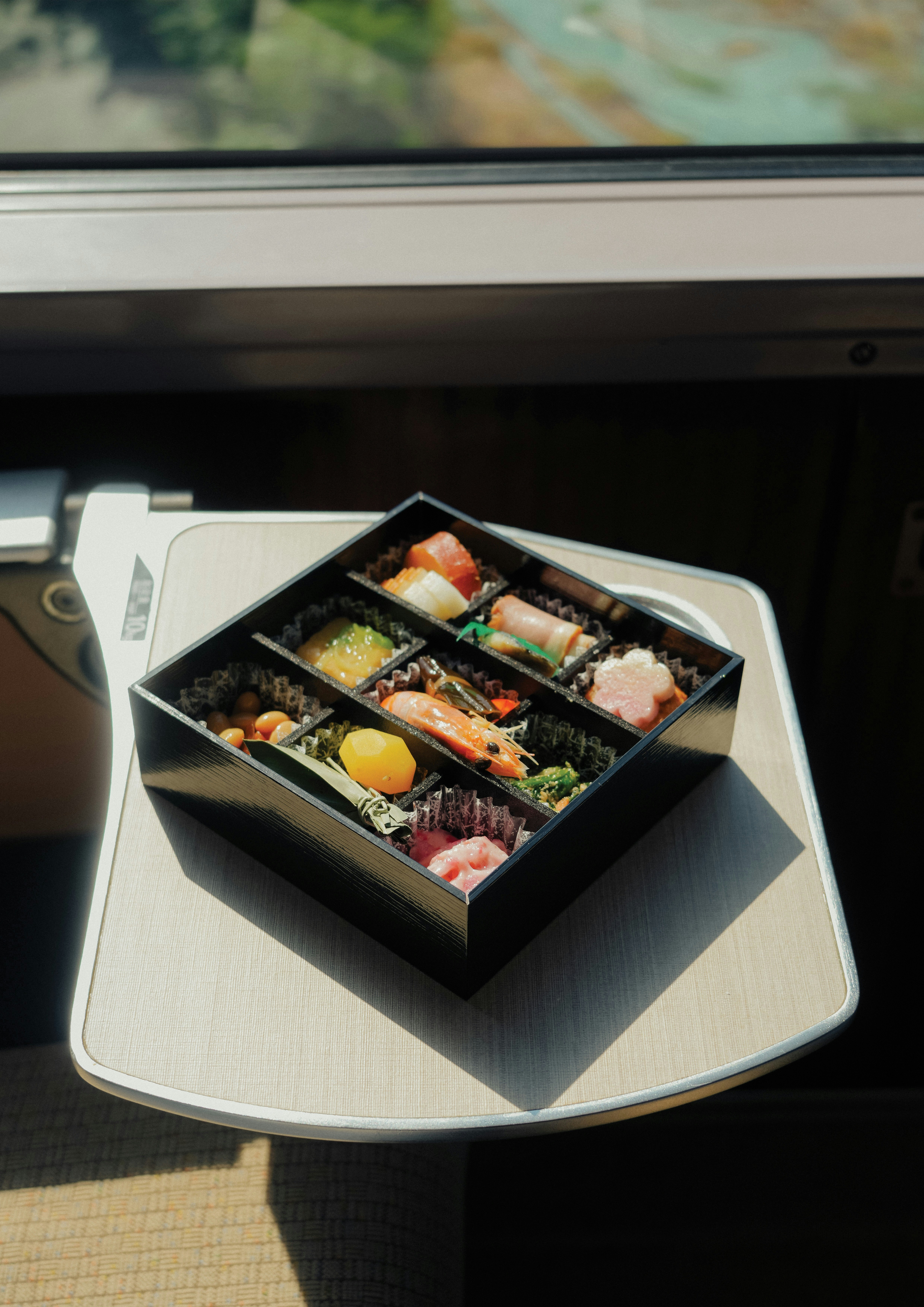 箱入りの駅弁（エキベン）を手にした旅のひととき