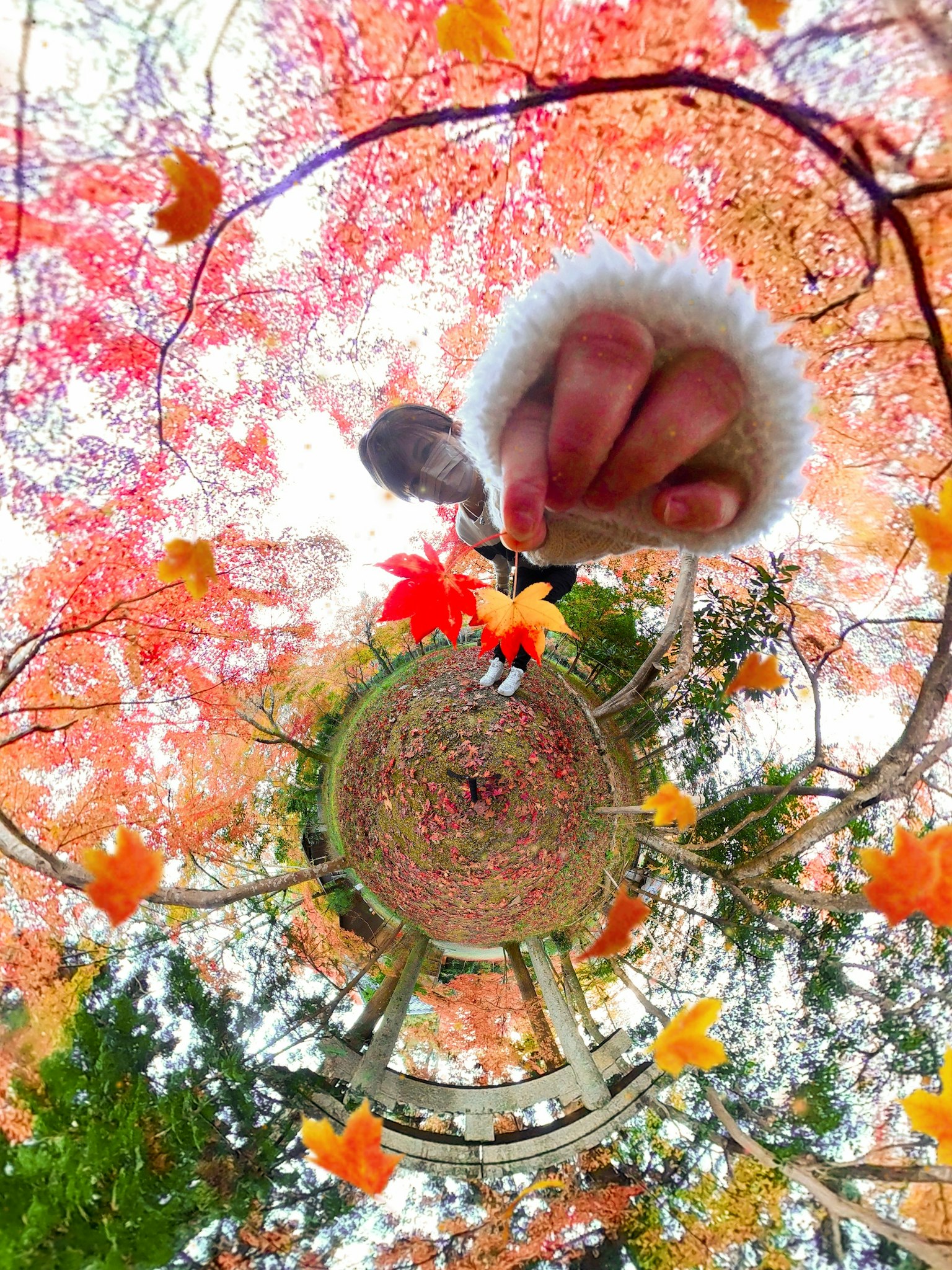 Hand holding vibrant red leaves surrounded by autumn foliage