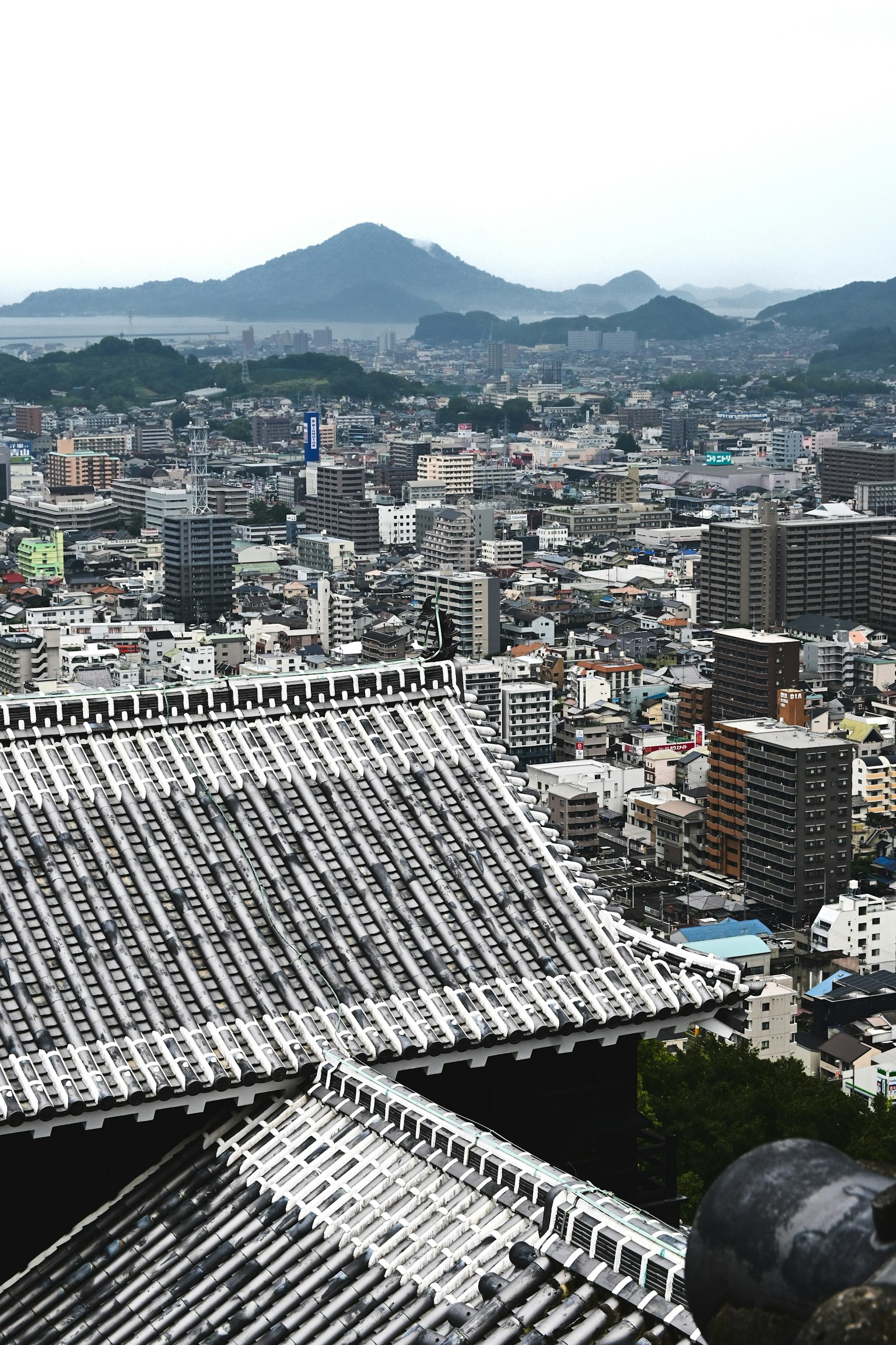 从屋顶俯瞰山脉和城市景观