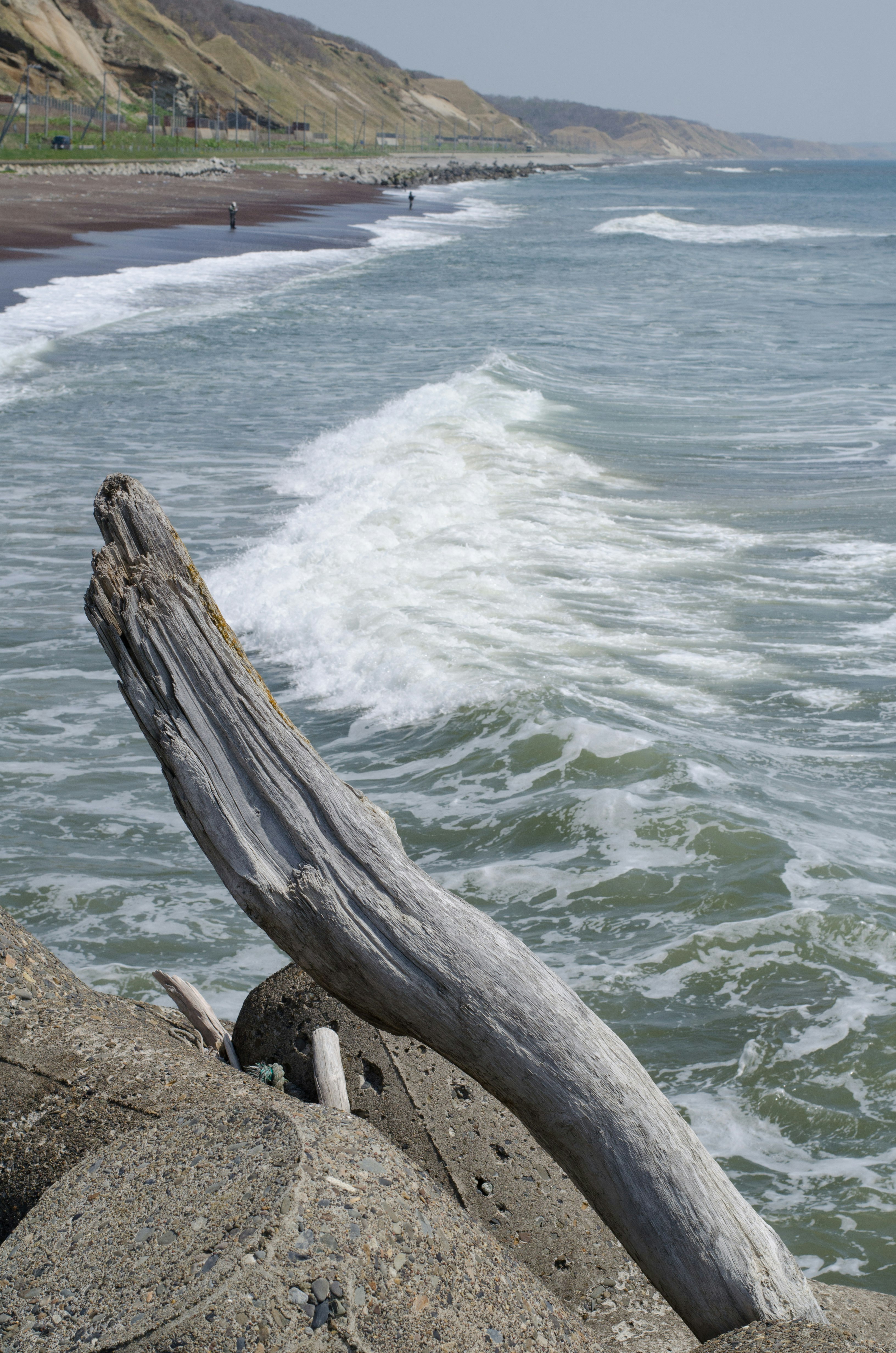 waves crashing on a rocky shoreline with driftwood