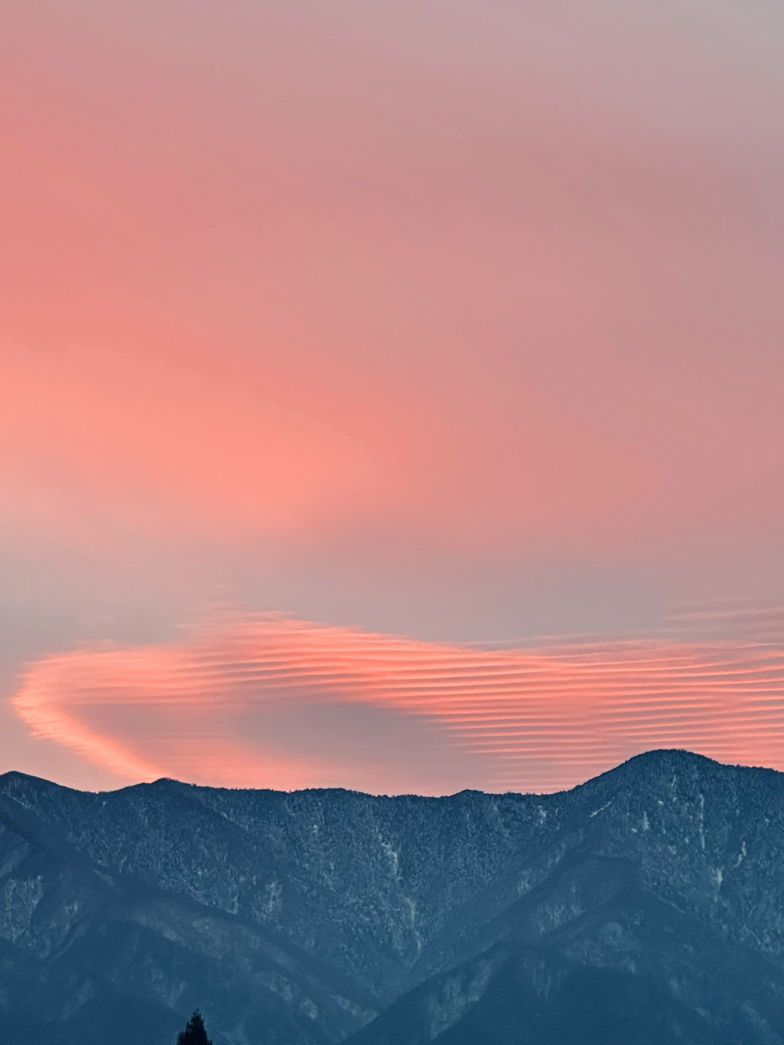 photo-OCXEgVVKlPxmuSKFgHCR-image