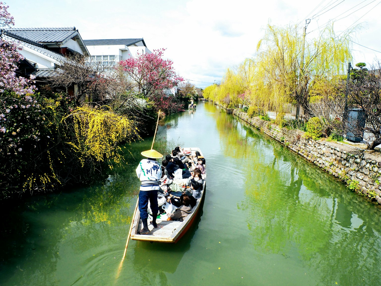 Un bote navegando por un canal verde rodeado de cerezos en flor