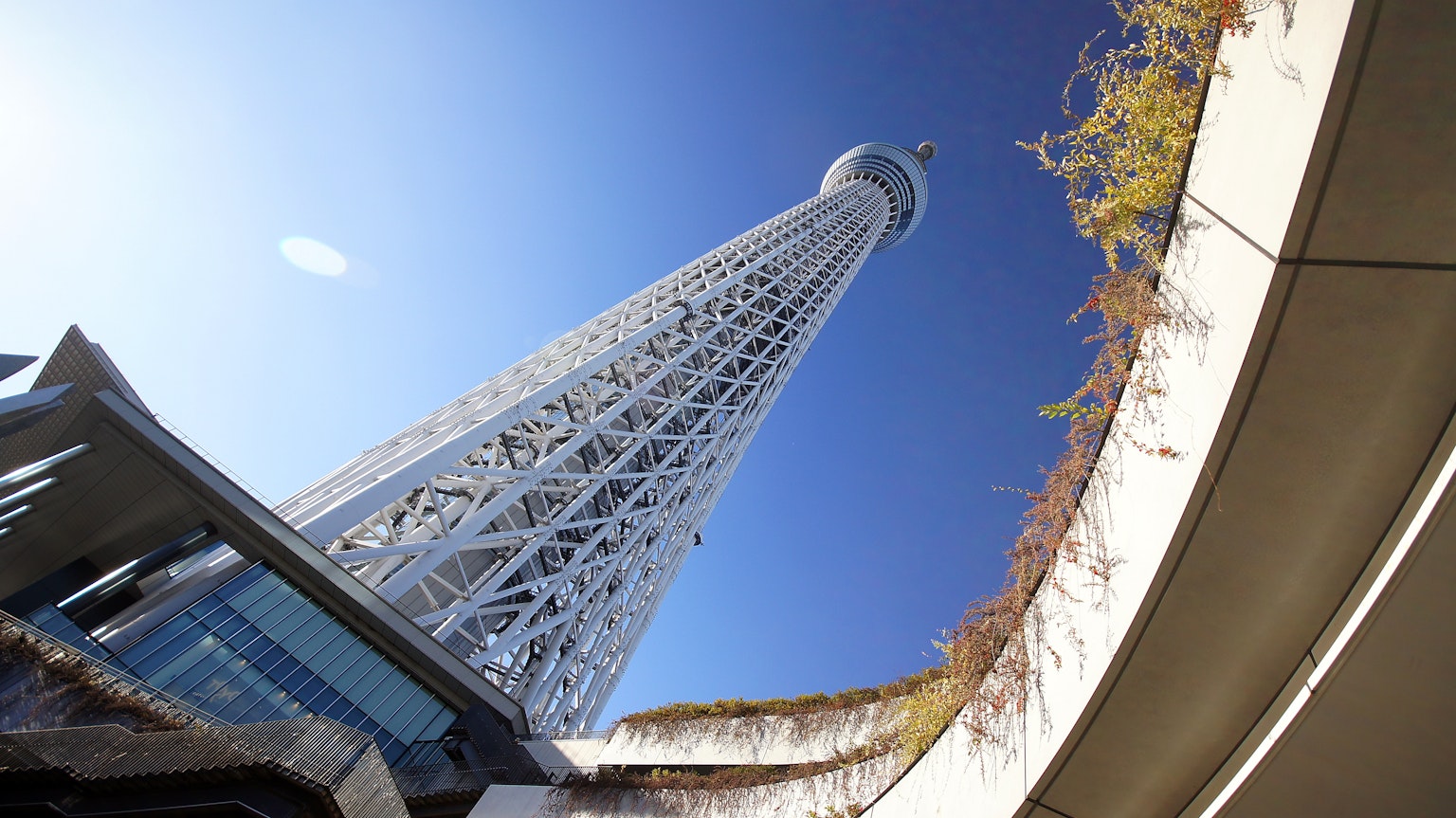 東京晴空下低角度觀察的東京晴空塔