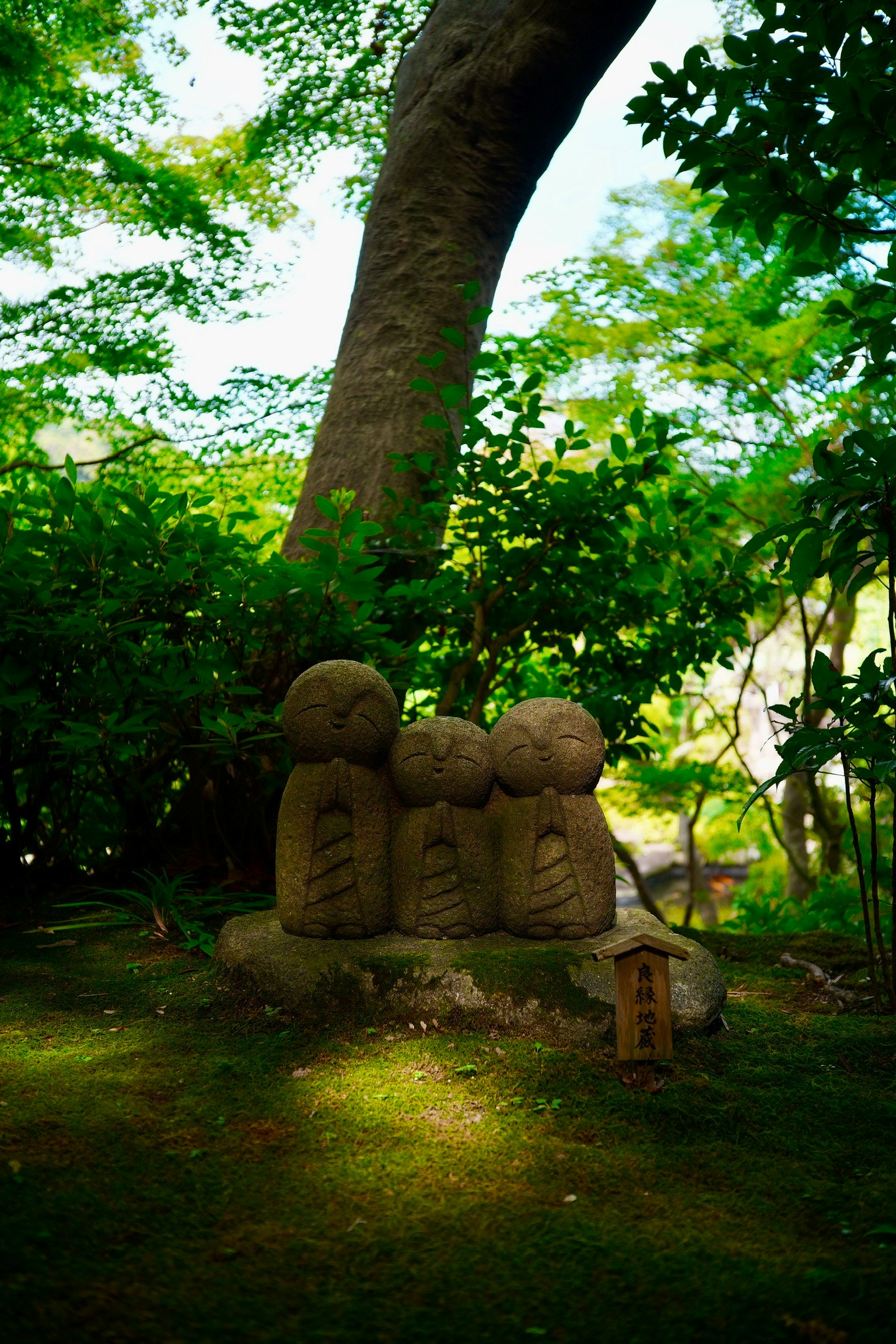 Quattro statue di pietra in un giardino verdeggiante con uno sfondo di alberi