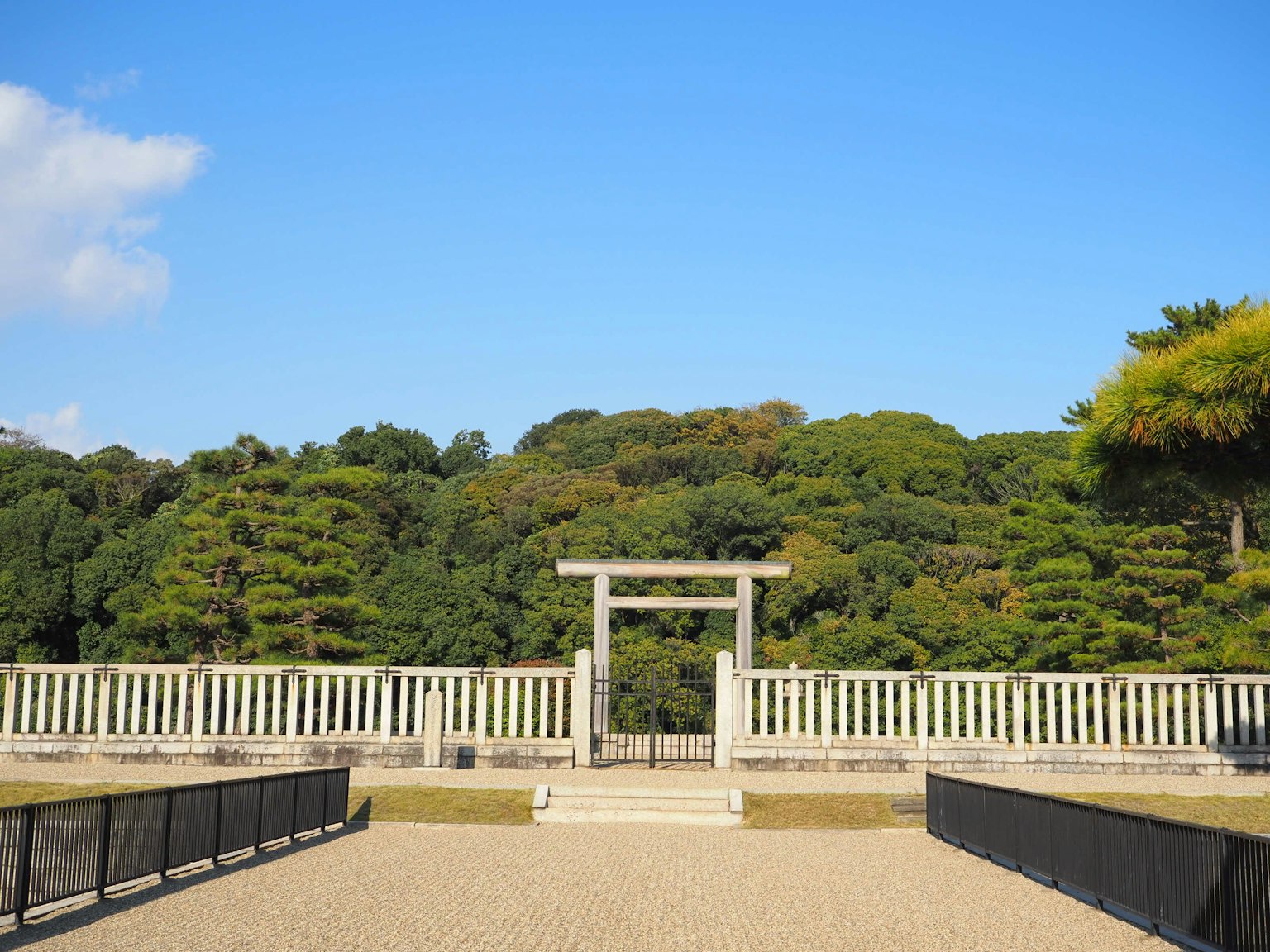 Portail torii avec une verdure luxuriante en arrière-plan