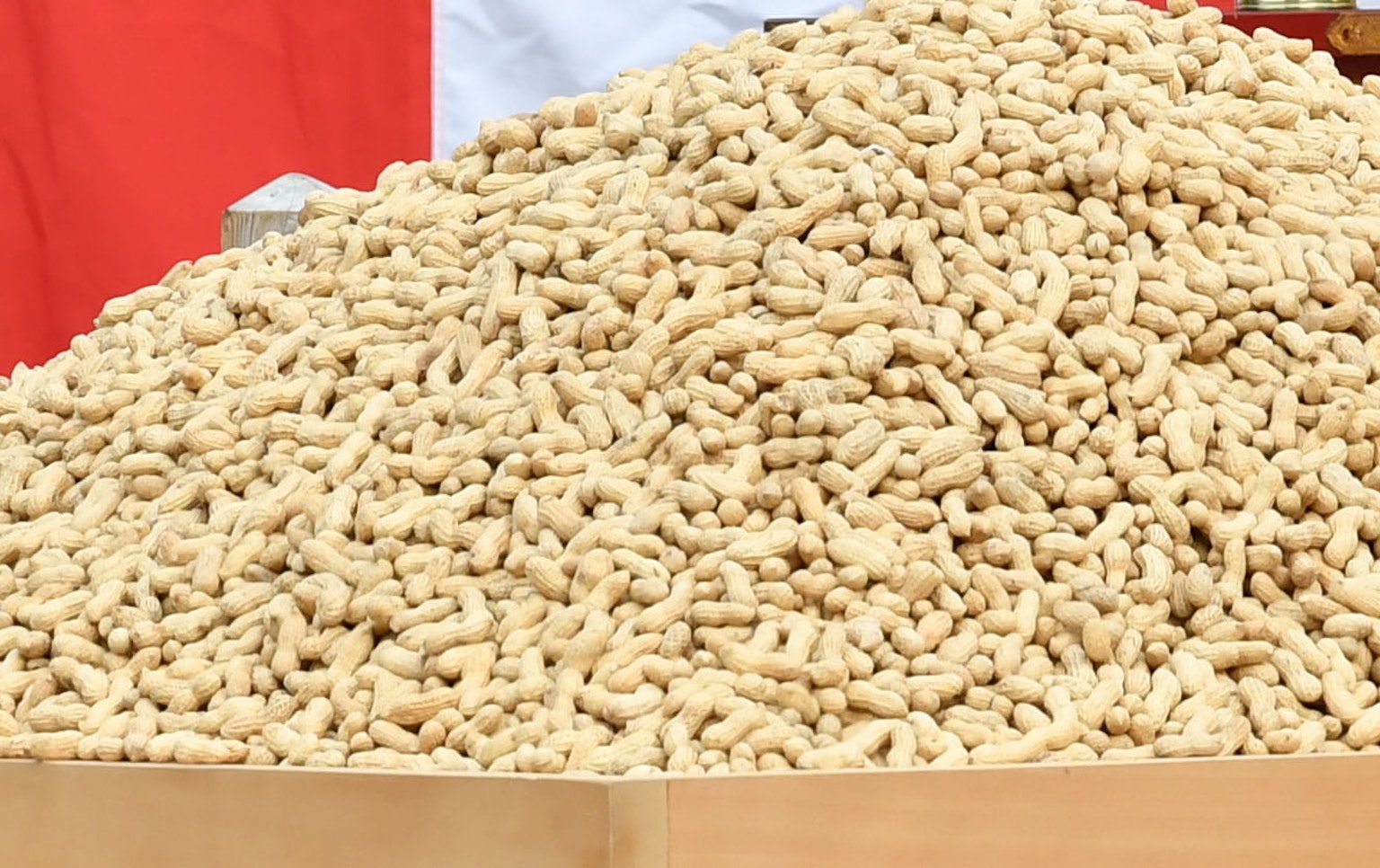 Sejumlah besar kacang tanah menumpuk di dalam kotak kayu