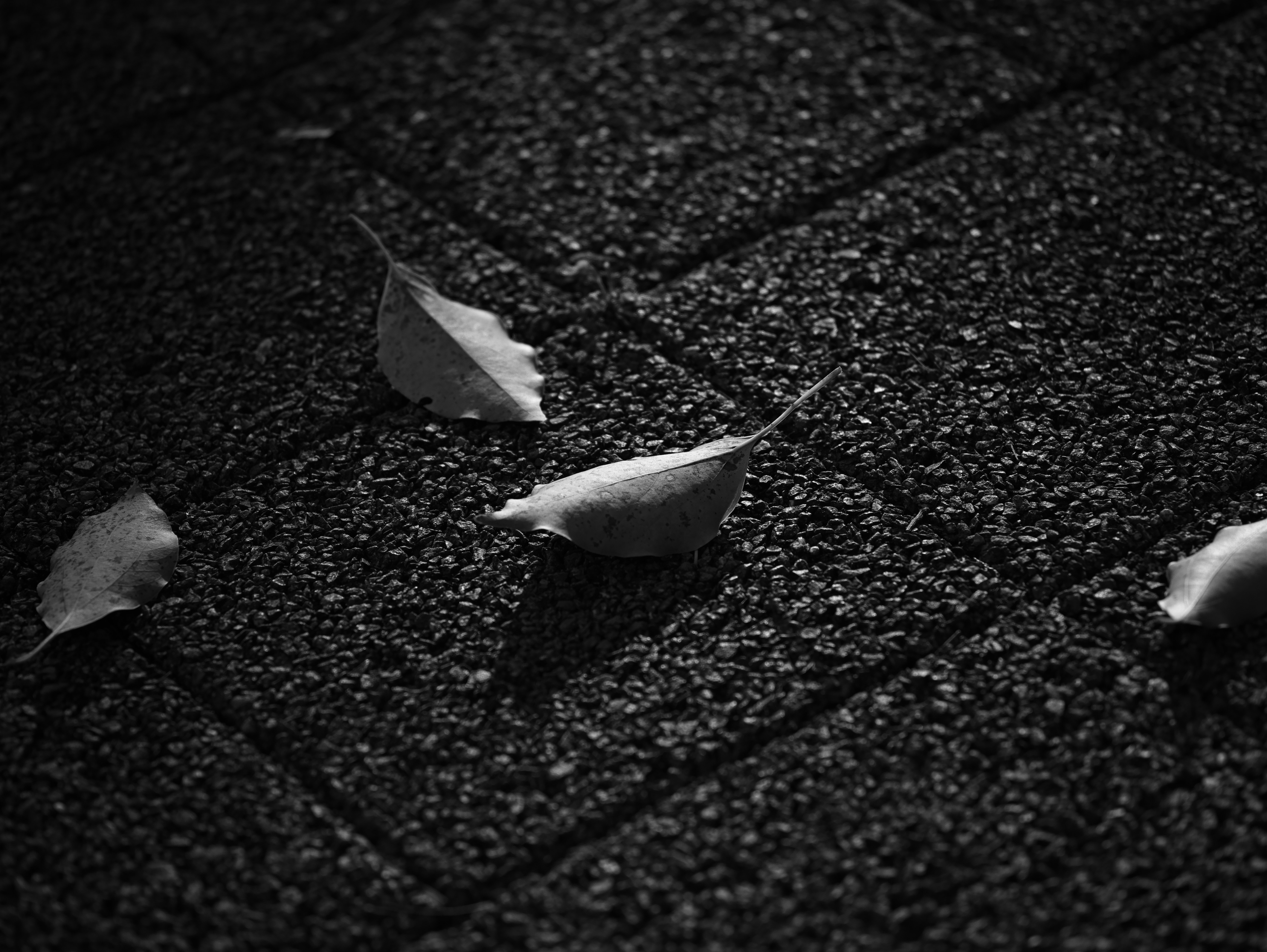 黒い路面に舞う落ち葉のような紙片