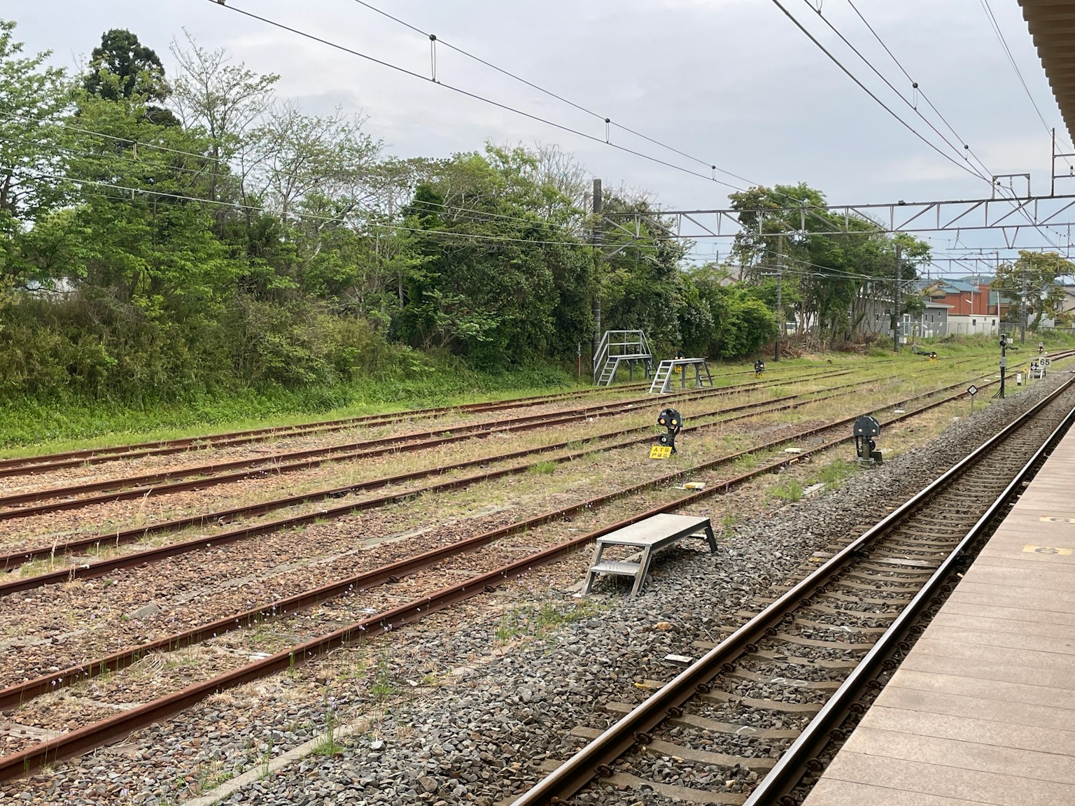 Railway tracks with surrounding greenery