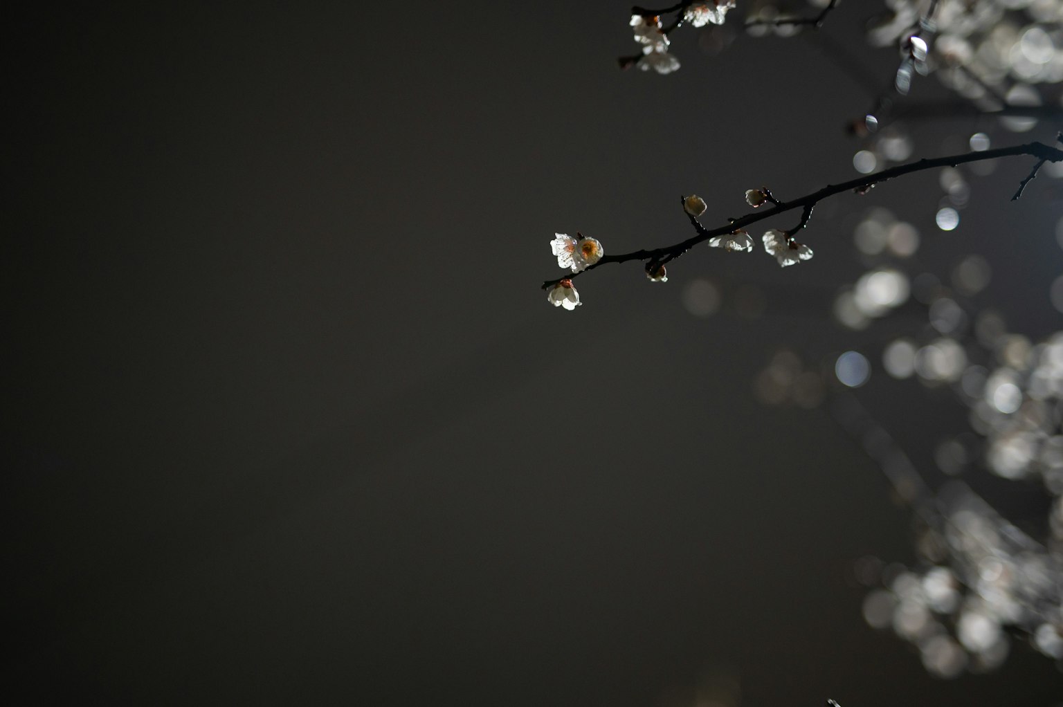 photo-OFxThqObOgUrQBYRoIfq-image