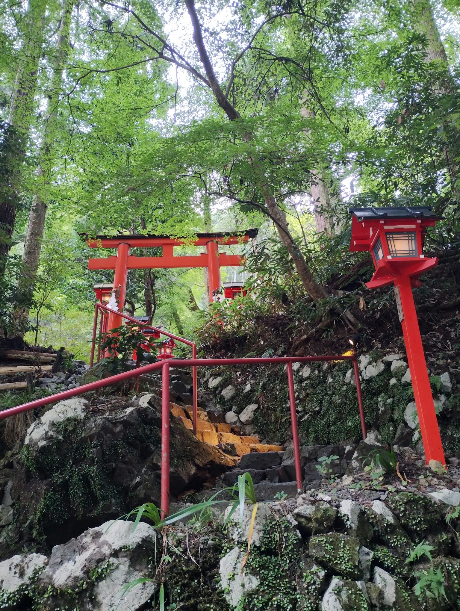 Vue pittoresque d'un torii rouge et d'une lanterne dans une forêt verdoyante