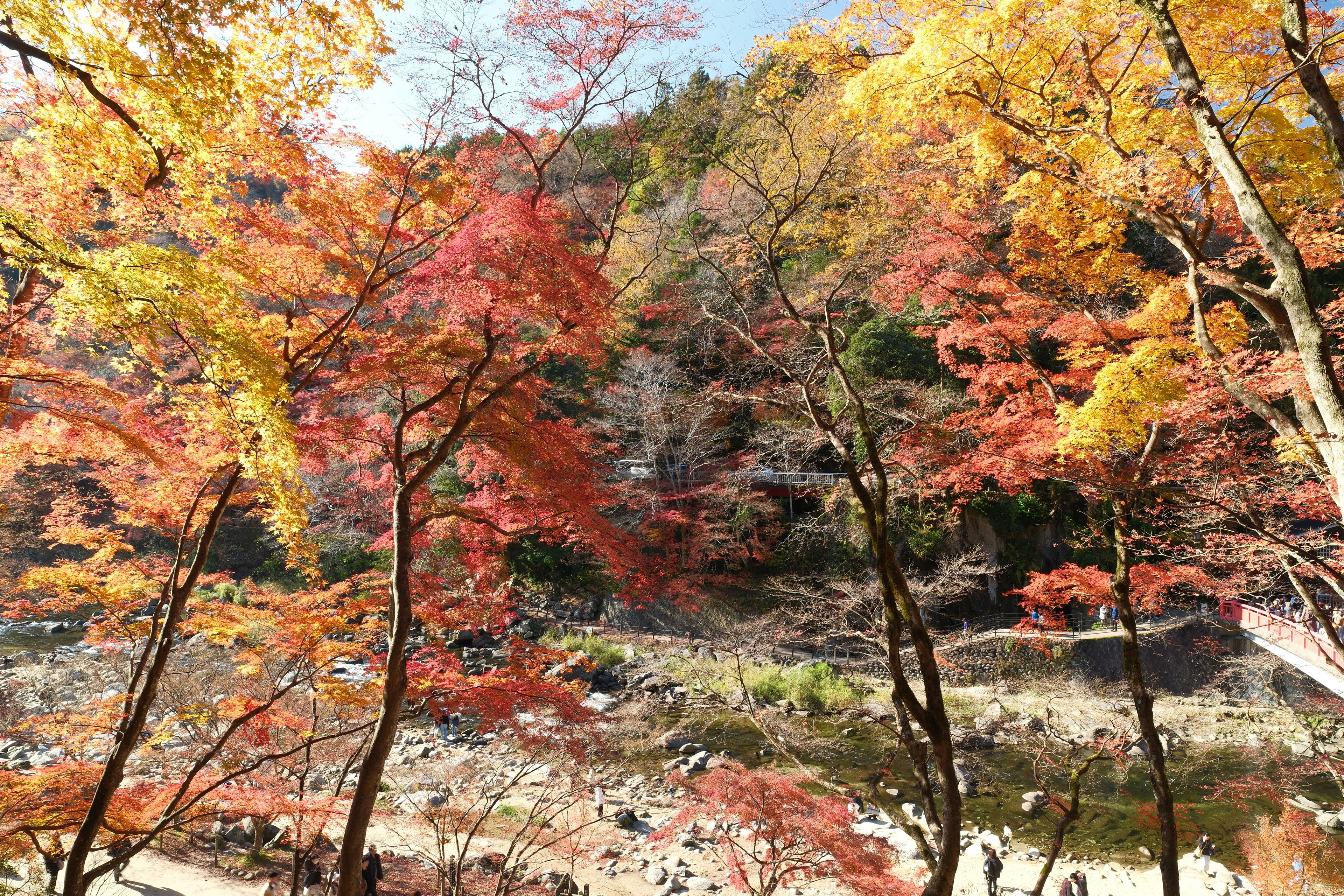 香嵐渓の紅葉が広がる山あいの景色