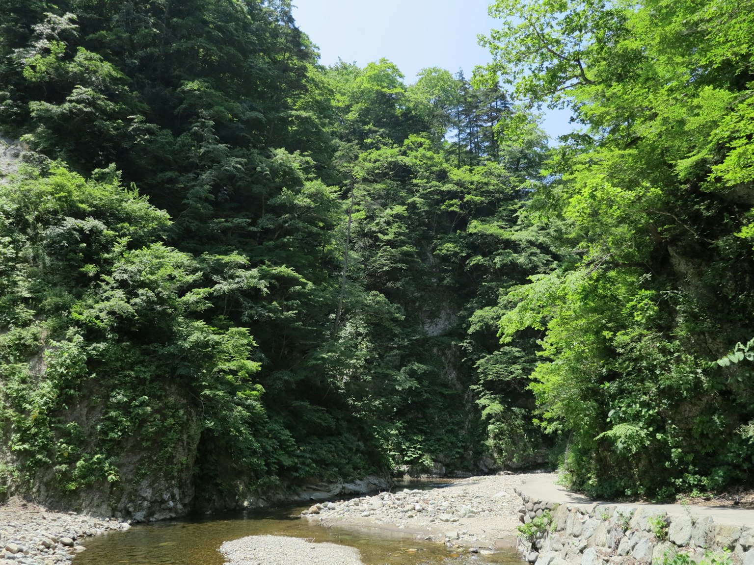 Ruhige Flusslandschaft umgeben von üppigen grünen Bäumen