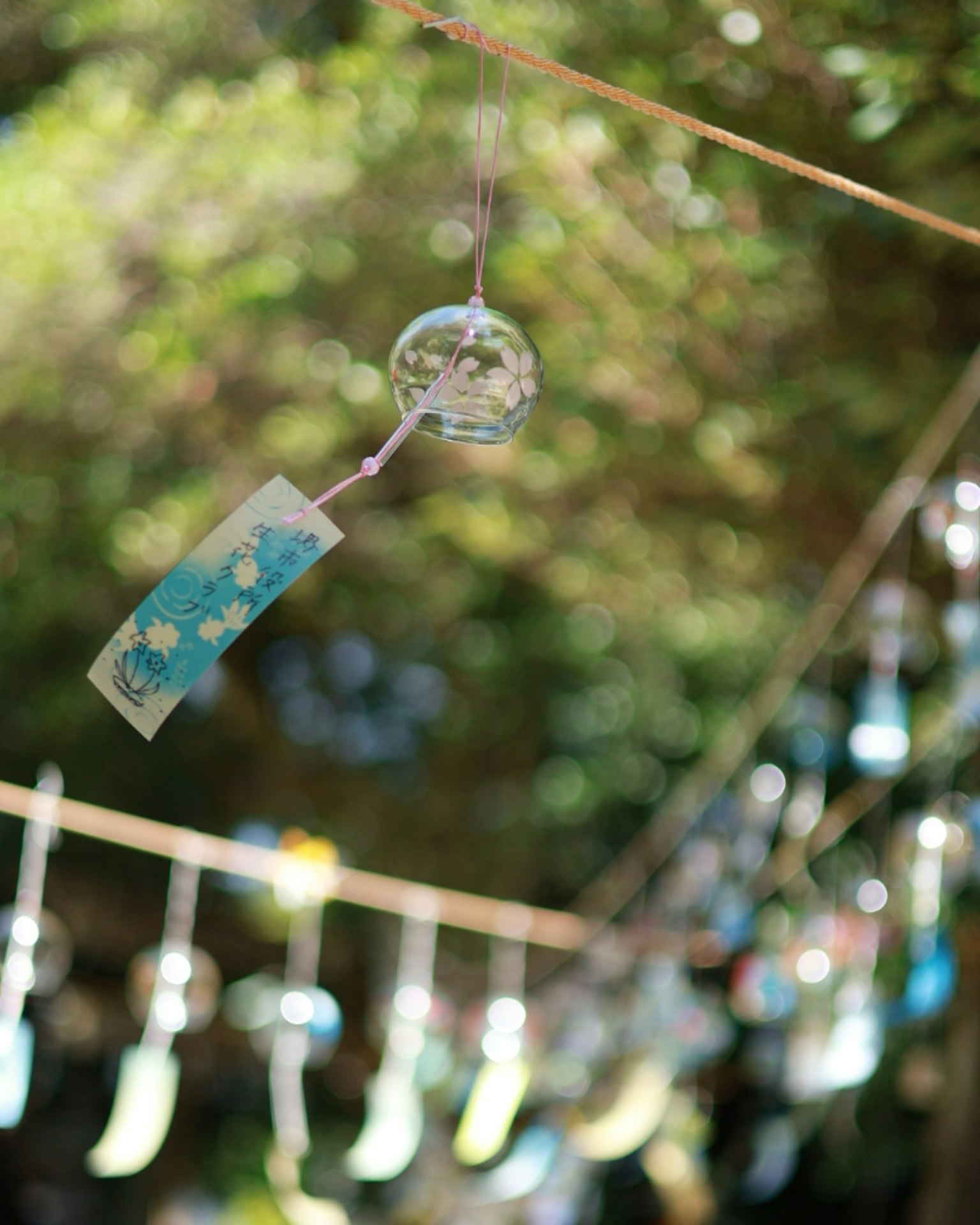 กระดิ่งลมและป้ายสีน้ำเงินแข hanging กับต้นไม้สีเขียวในพื้นหลัง