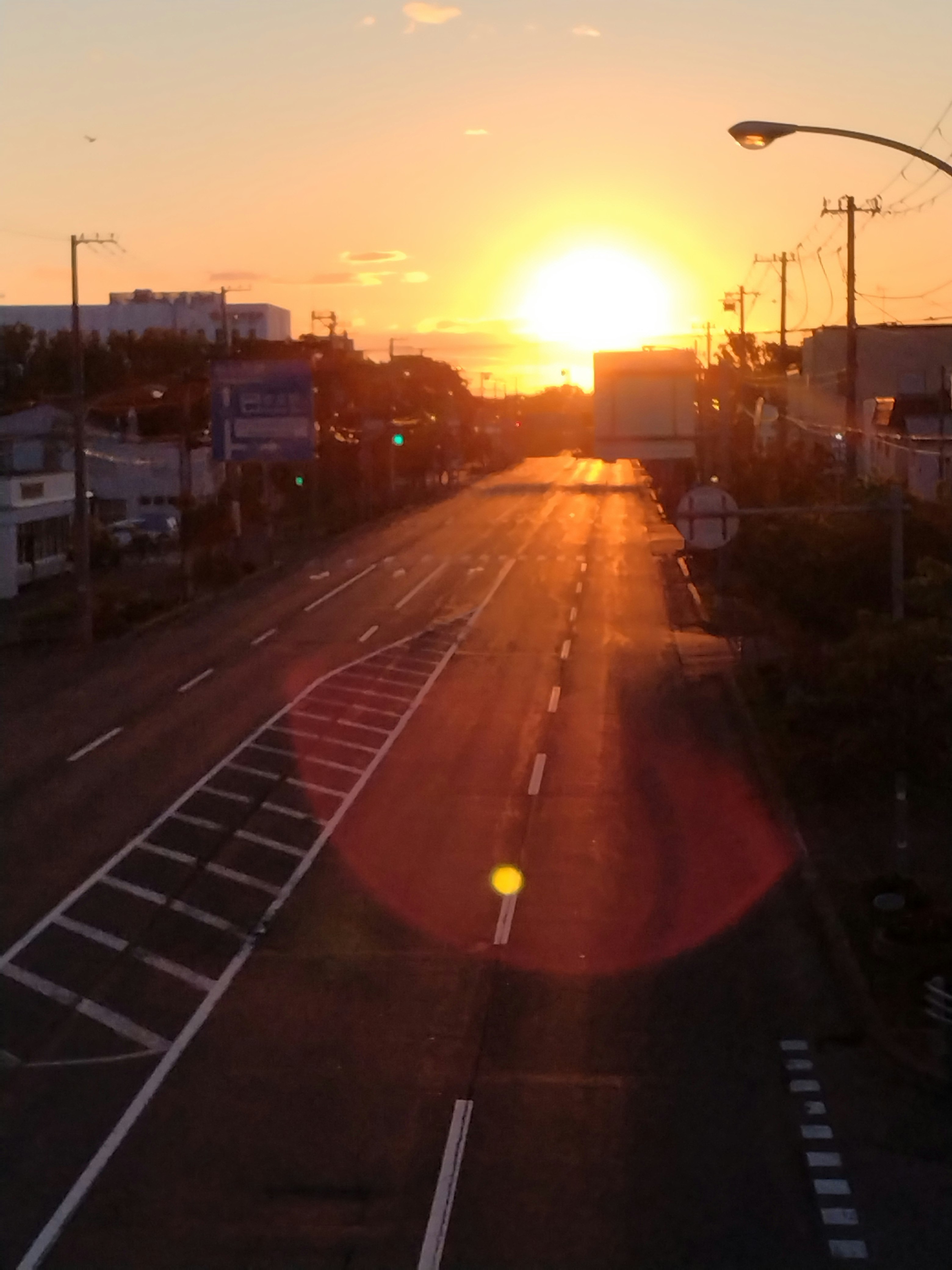 夕日に照らされた郊外の直線道路と街灯の並ぶ風景