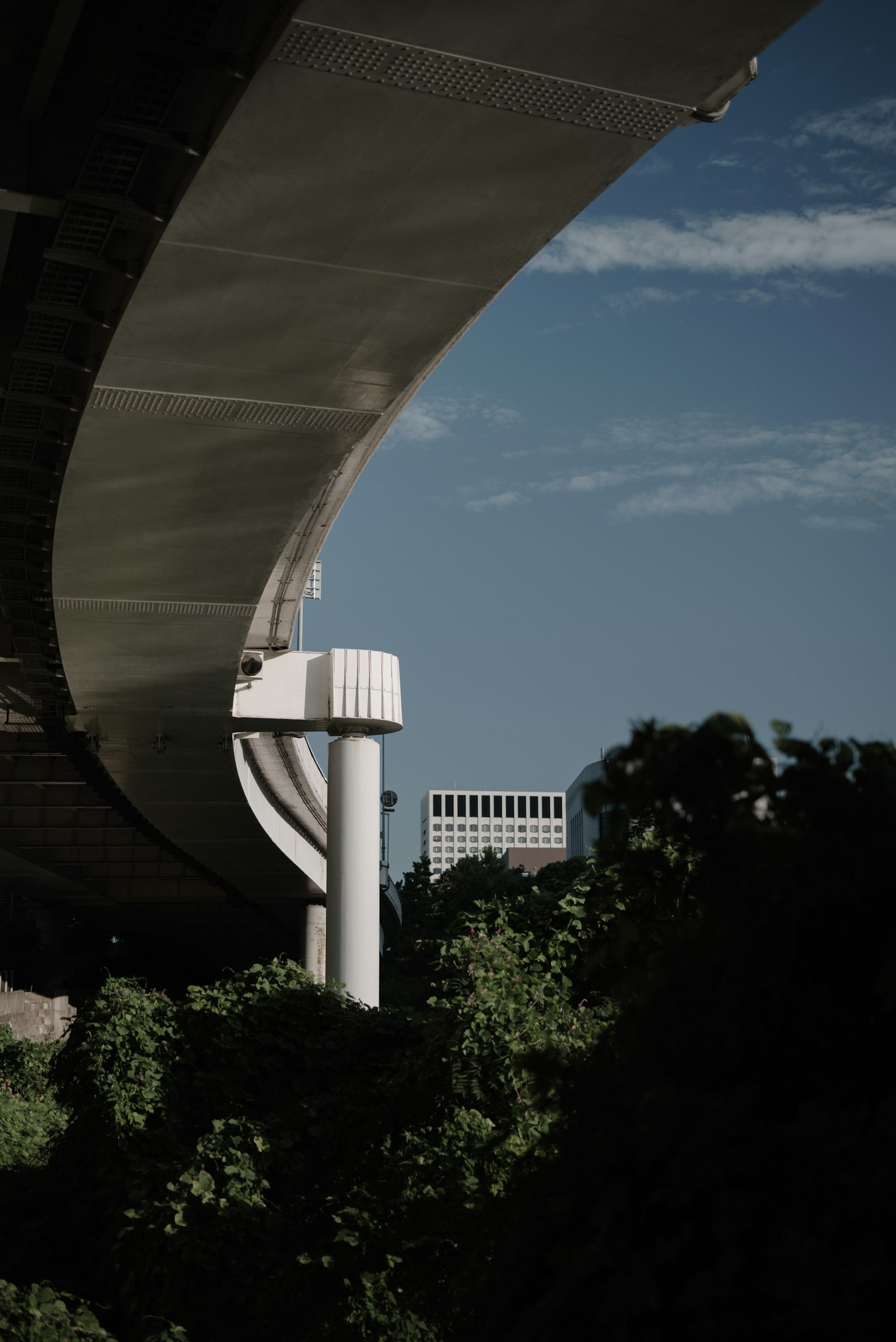 Curved overpass under a blue sky with green foliage visible