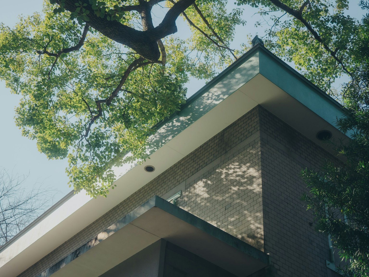 Image capturing the angle of a building roof under a tree with lush green leaves