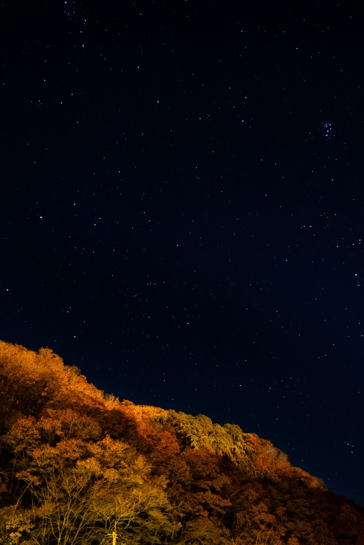 夜空に輝く星々と秋の紅葉が映える山の風景