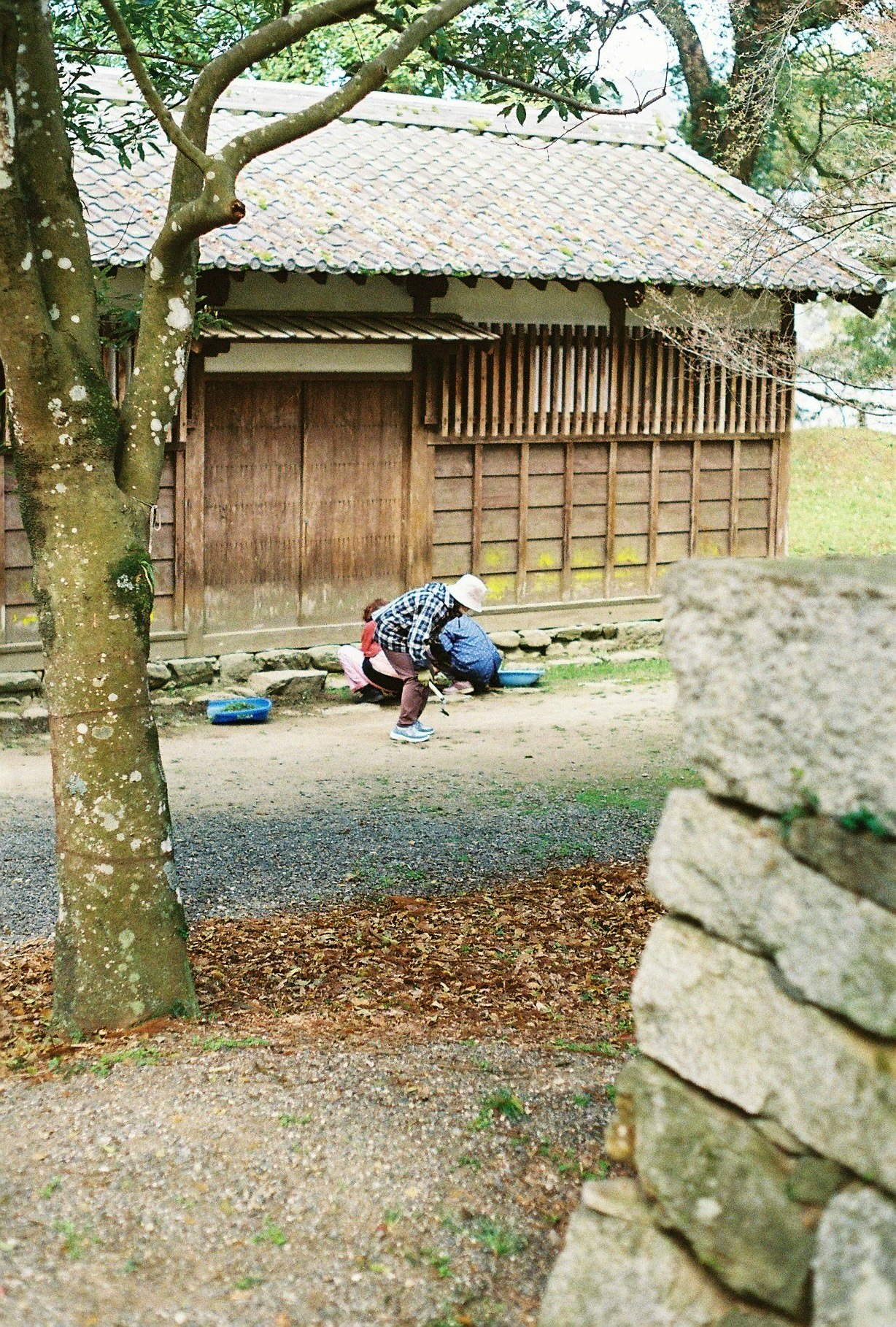 木造の小屋の前で遊ぶ子どもたちのある庭の風景
