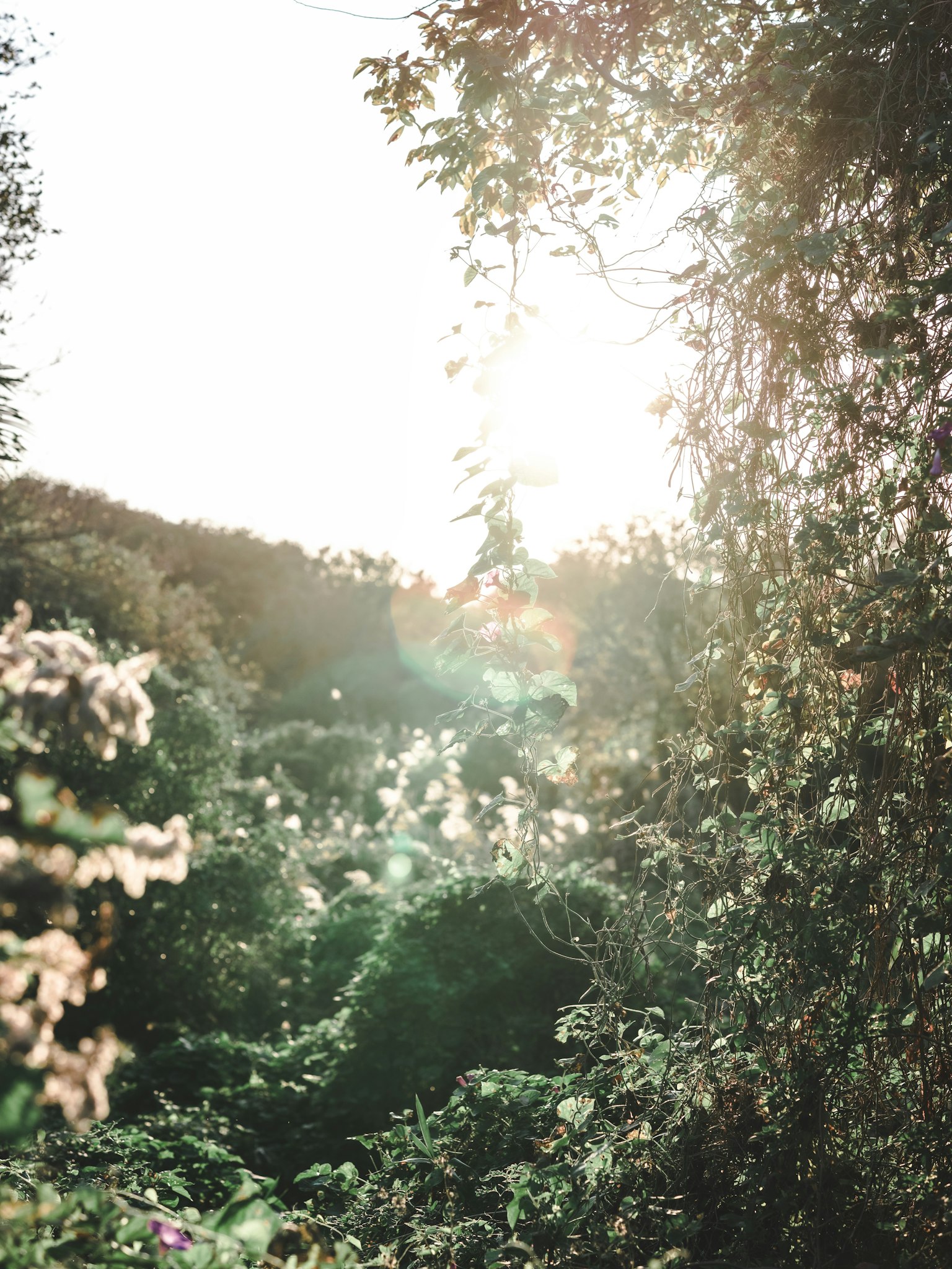 photo-OIZ6d4R06UX4ehl0p2IY-image