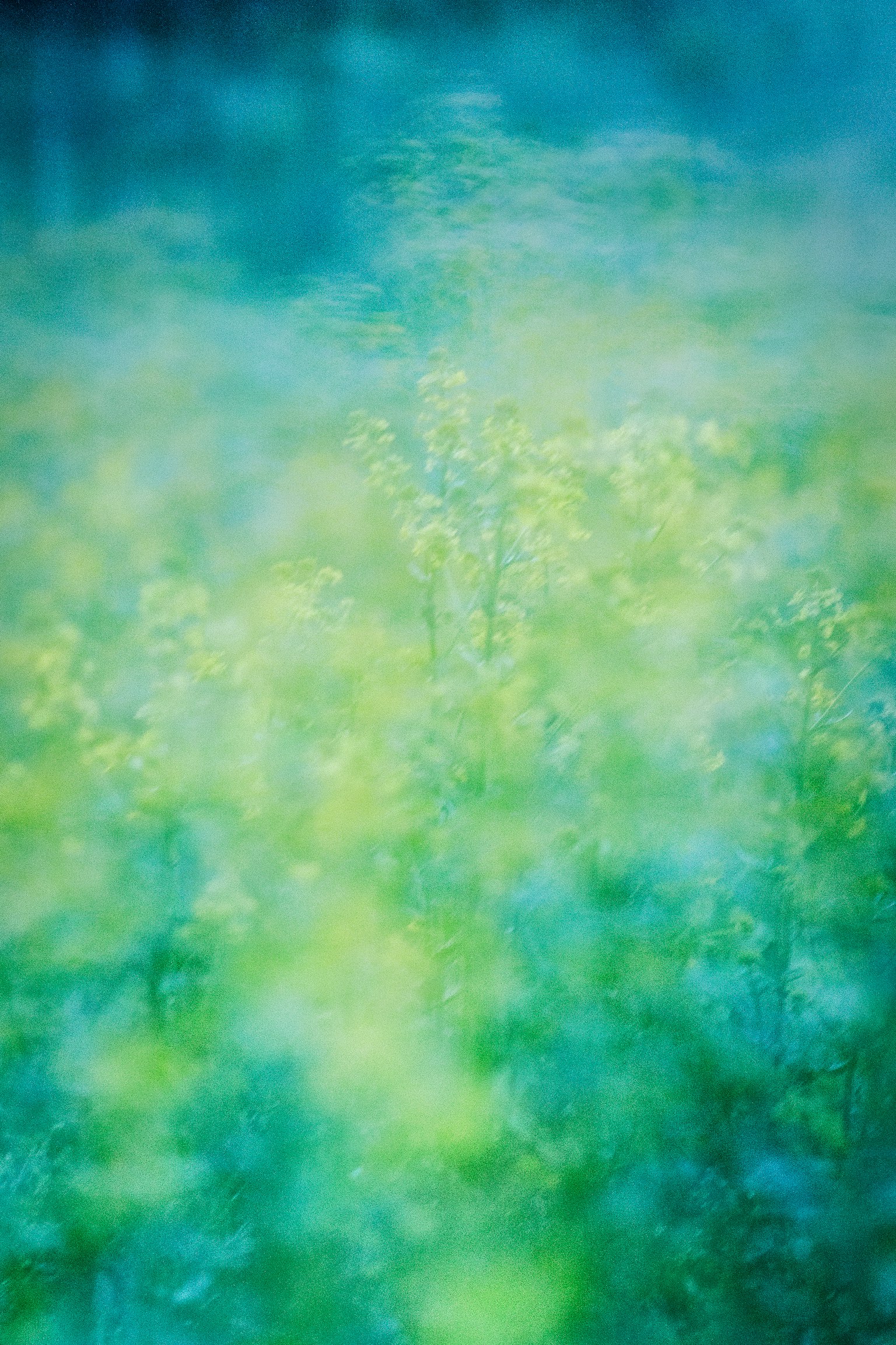 緑と青のぼやけた背景に花が映る抽象的な景色