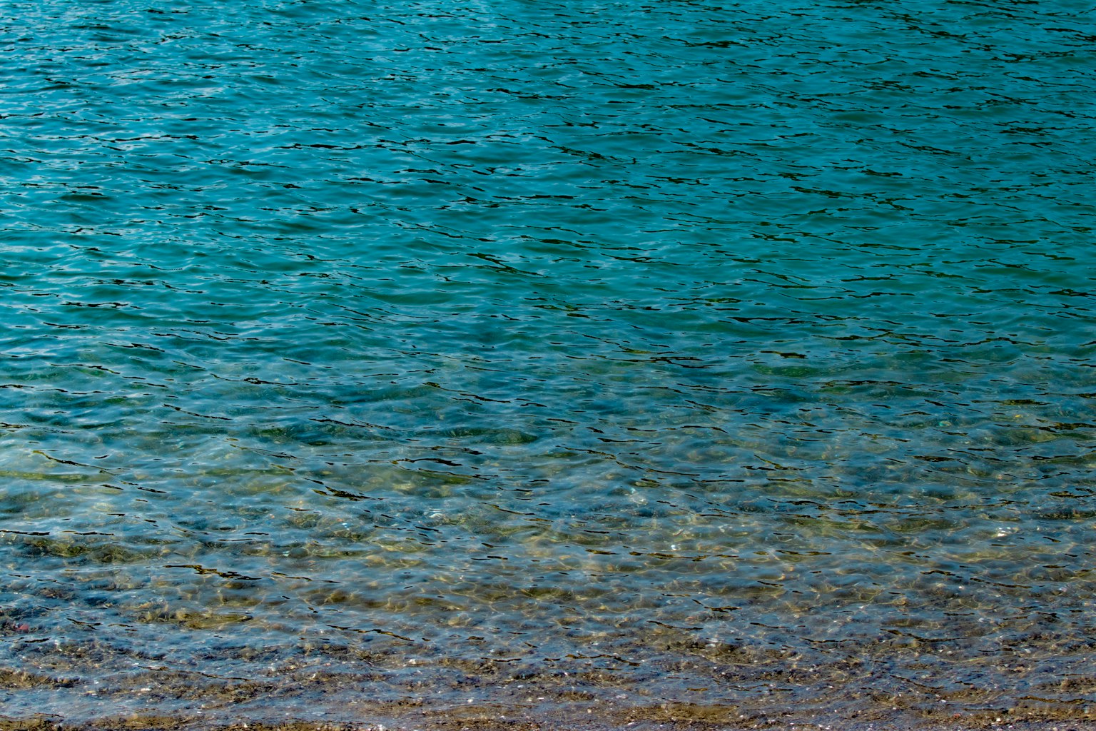 Clear blue water surface contrasting with sandy beach
