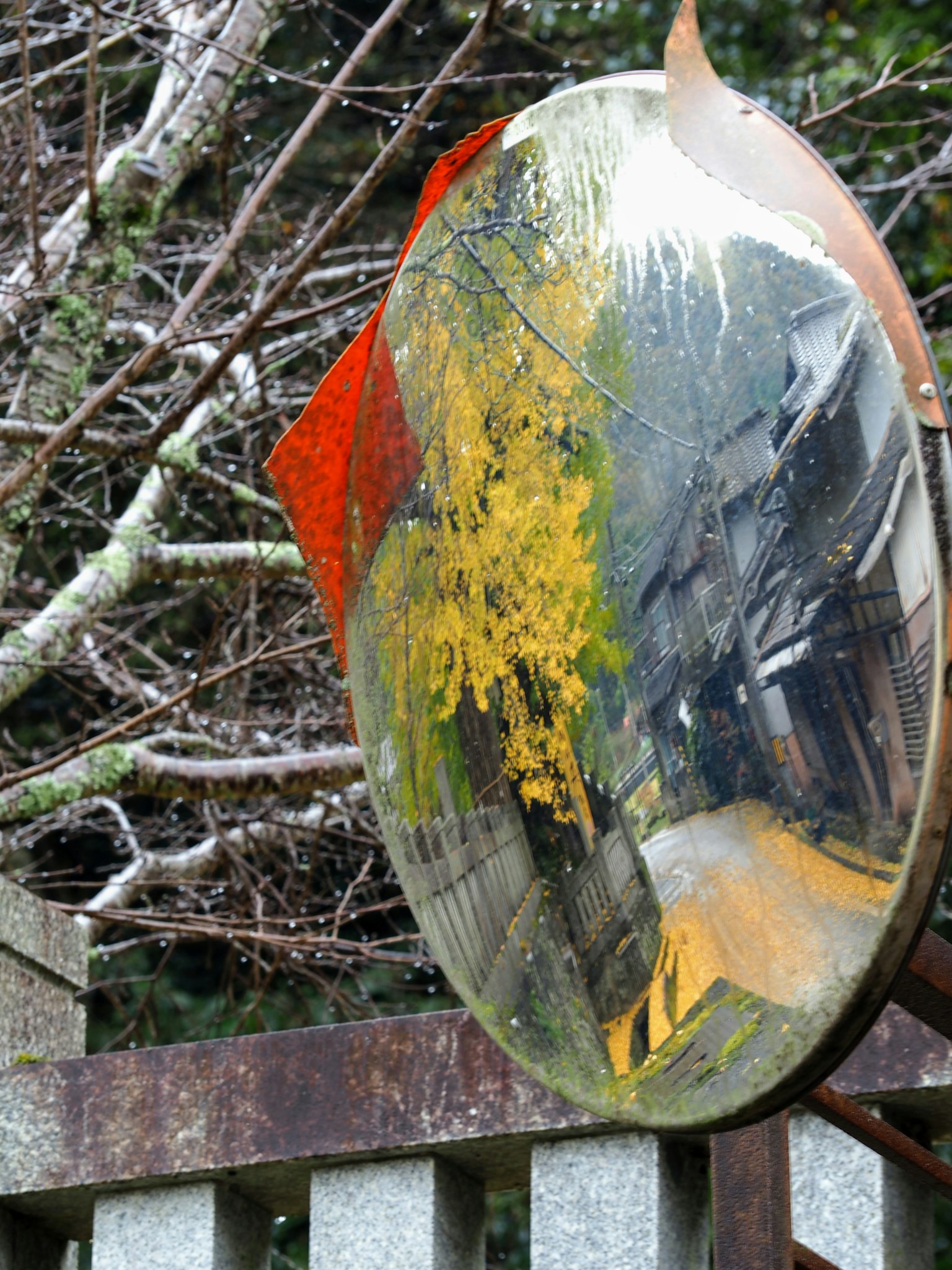 Espejo redondo que refleja un paisaje otoñal con árboles