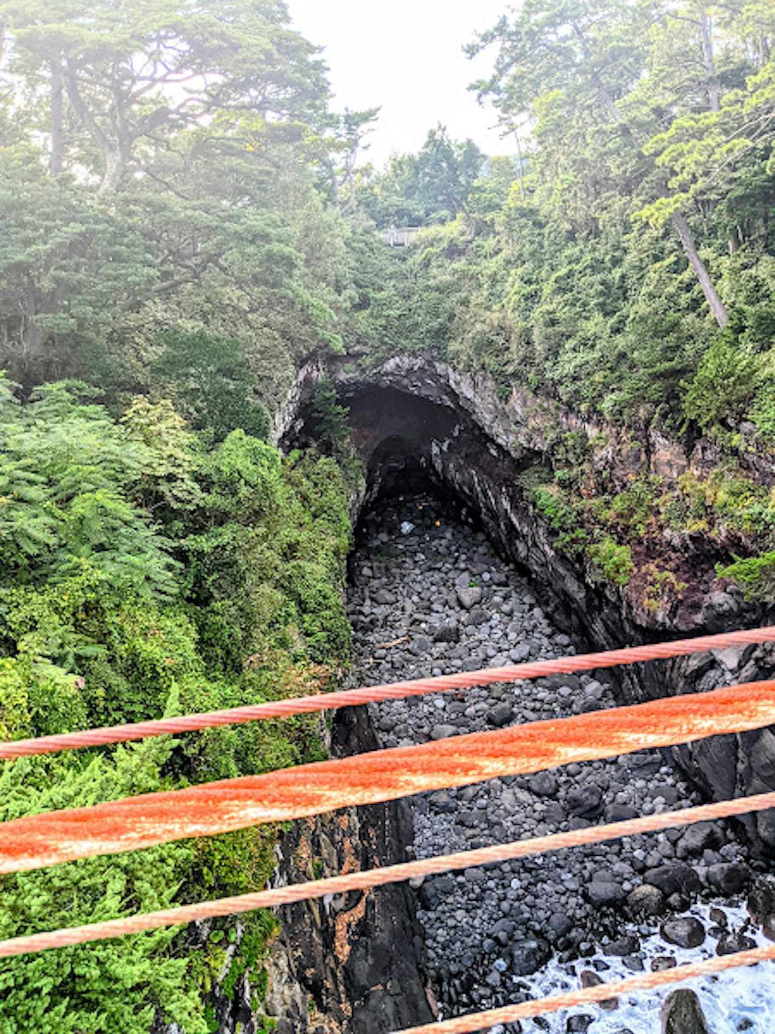 Une vue pittoresque d'un canyon entouré de verdure luxuriante avec des rochers et de l'eau qui coule depuis un pont