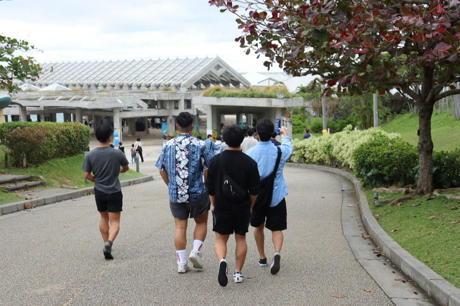 一群年輕人在公園小路上走
