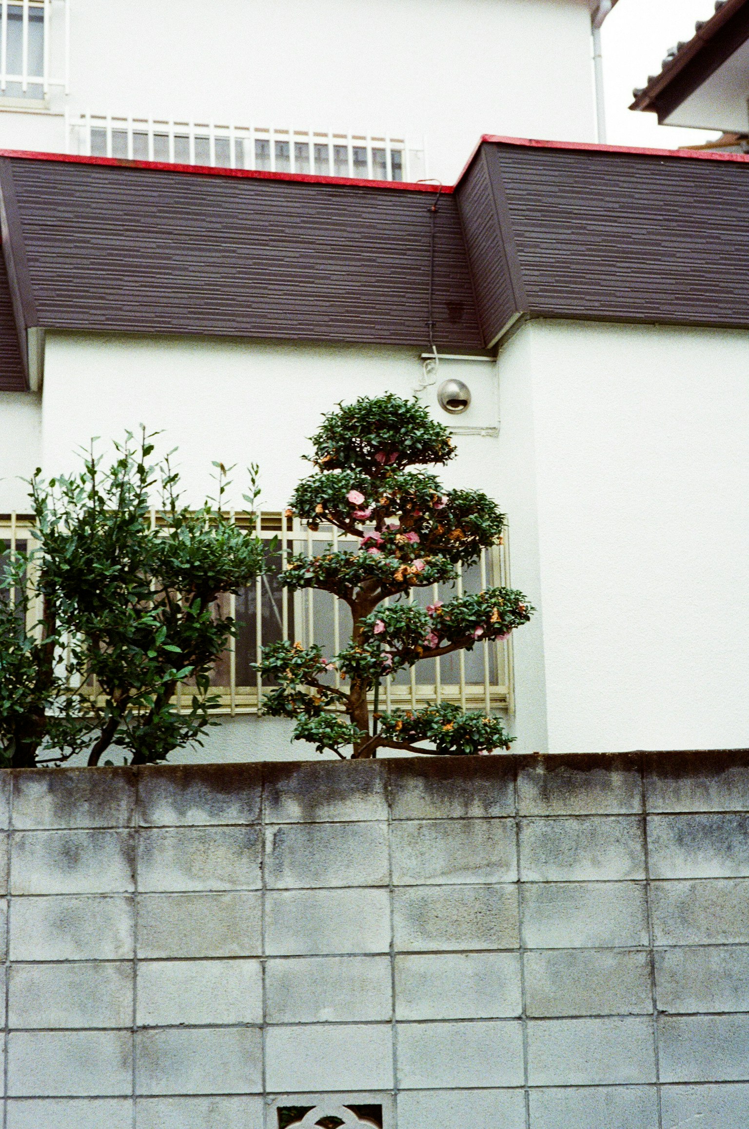Image showing part of a house with a white wall and red roof featuring greenery in the garden