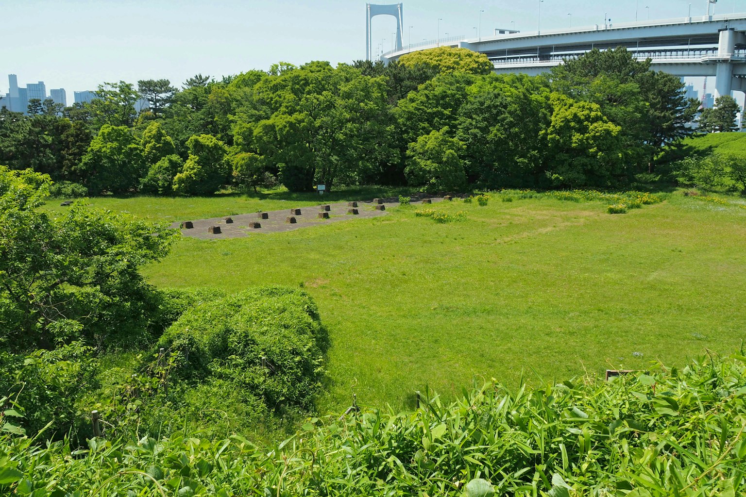 郁郁蔥蔥的草地上有樹木，遠處有一座橋