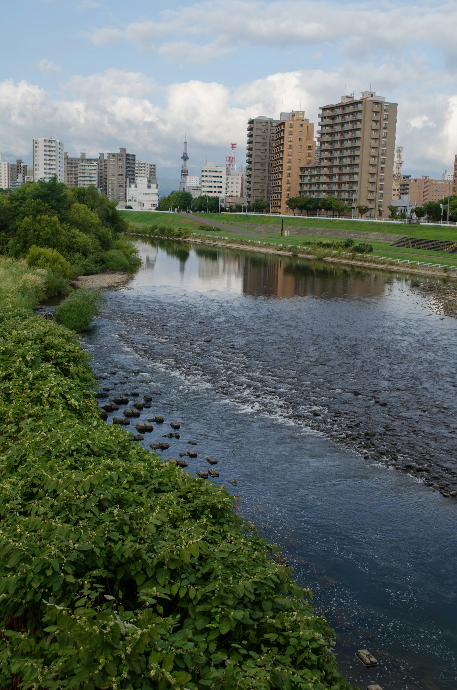 Green riverbank with city skyline in the background