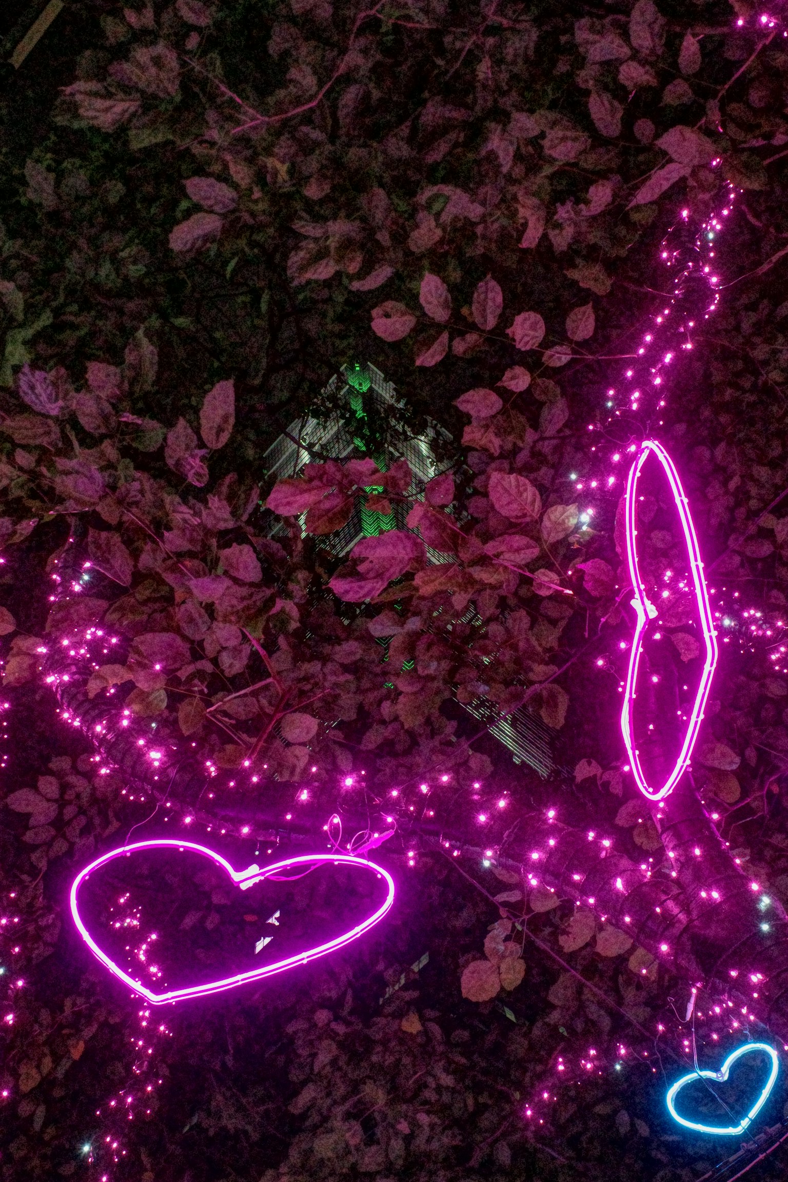 ピンクのライトで装飾された葉の上にハート型のネオンが配置されている