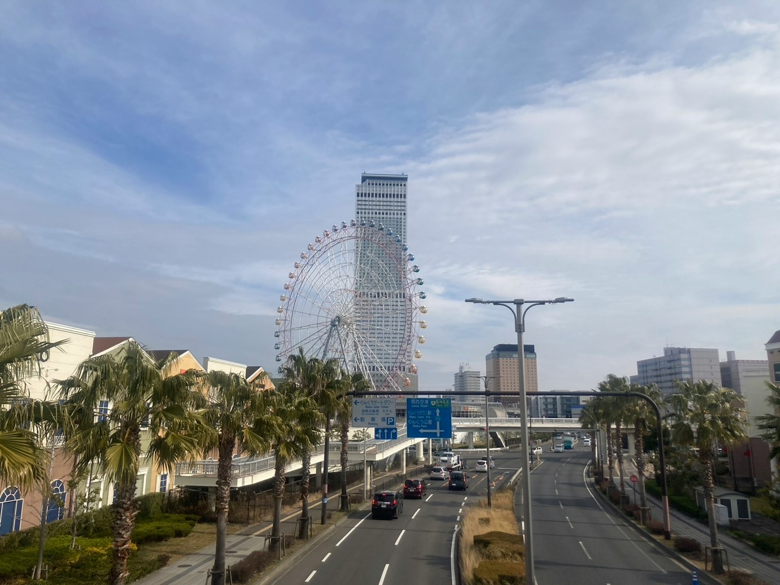 城市风景，摩天大楼和摩天轮，周围有棕榈树和晴朗的天空