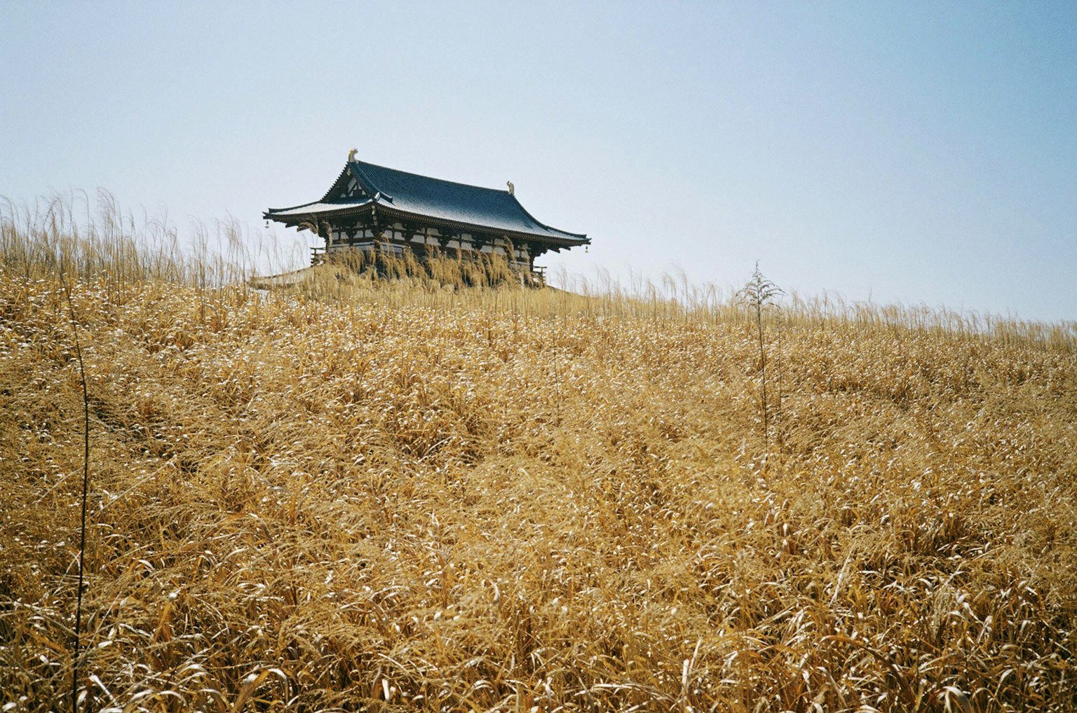 A traditional building on a grassy hill under a blue sky
