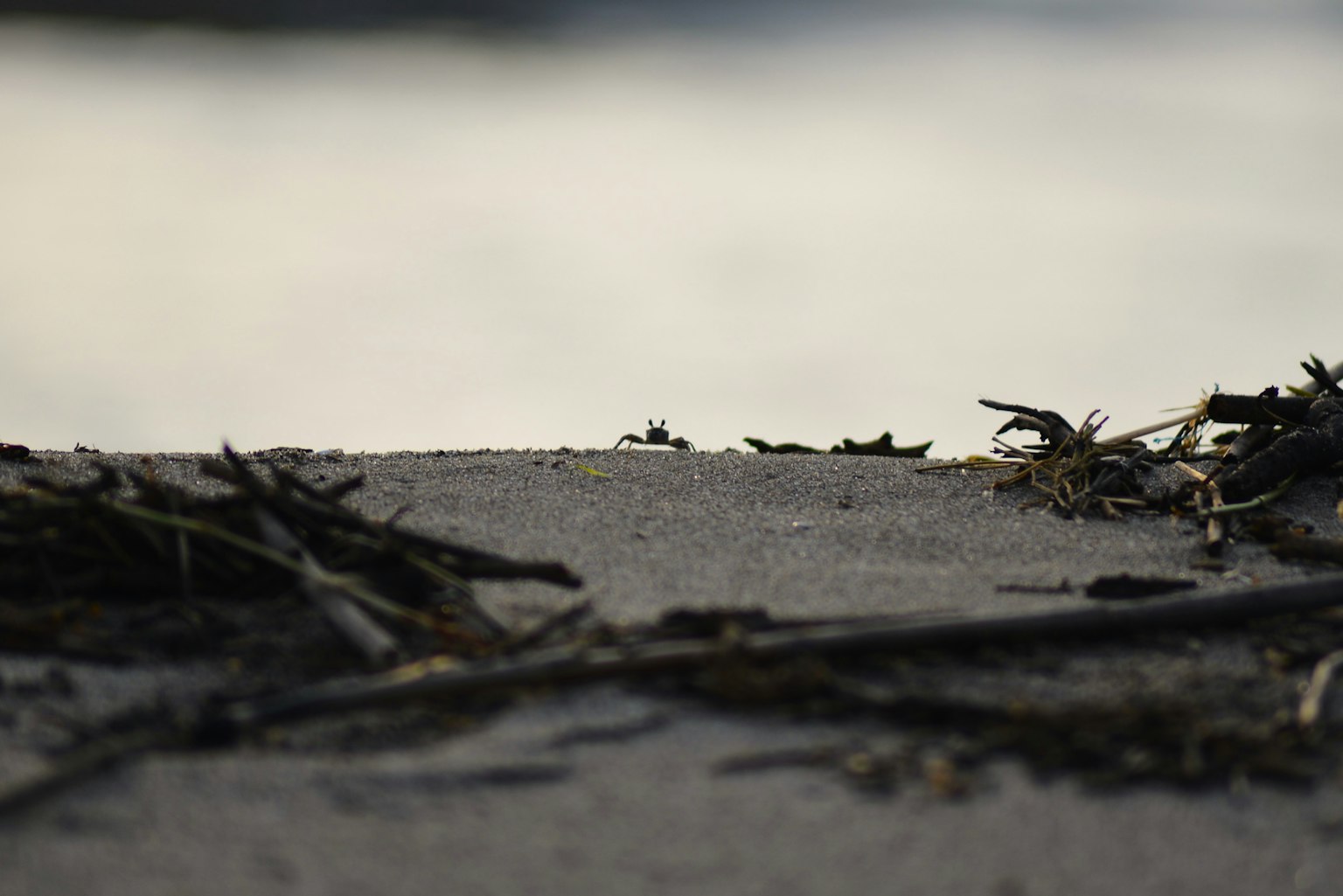 photo-OMpmoRj84Zm9baTtIUxg-image