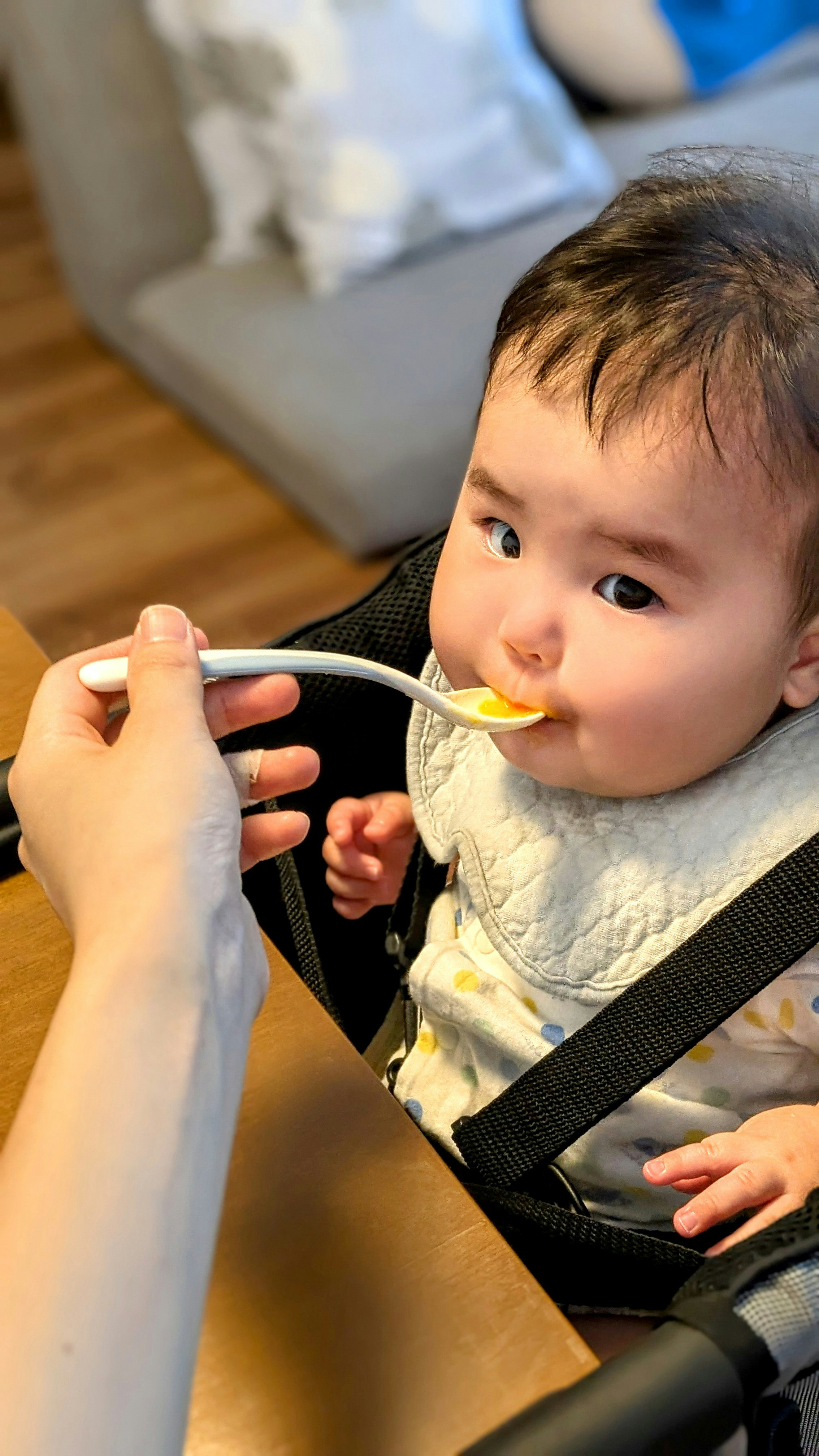 吃副食品的寶寶用湯匙進食