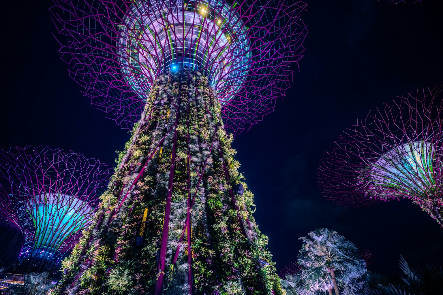 夜のガーデンズ・バイ・ザ・ベイのスーパーツリーの美しい光景